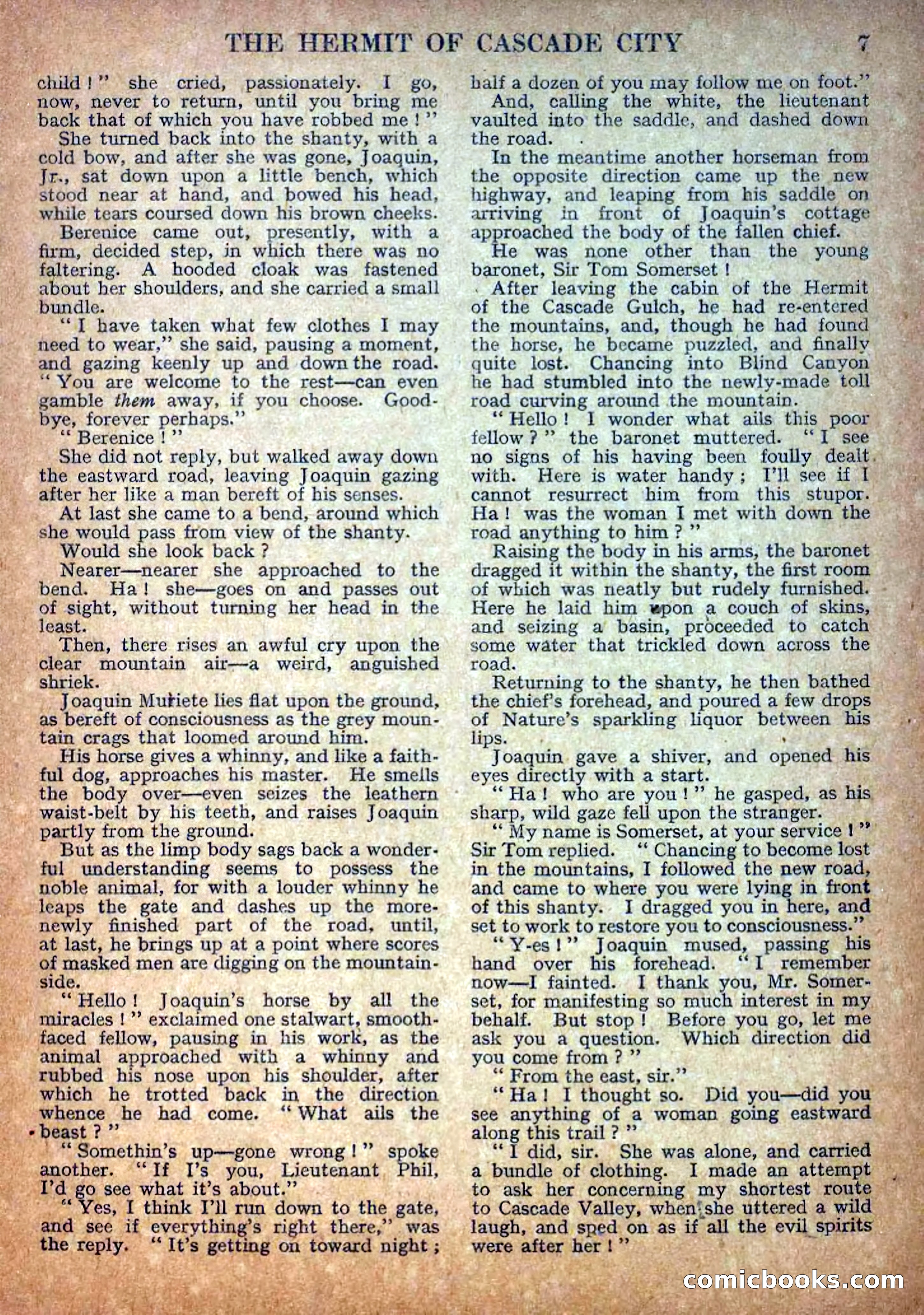 Deadwood Dick Library No. 18: The Hermit of Cascade City — page 9 of 36