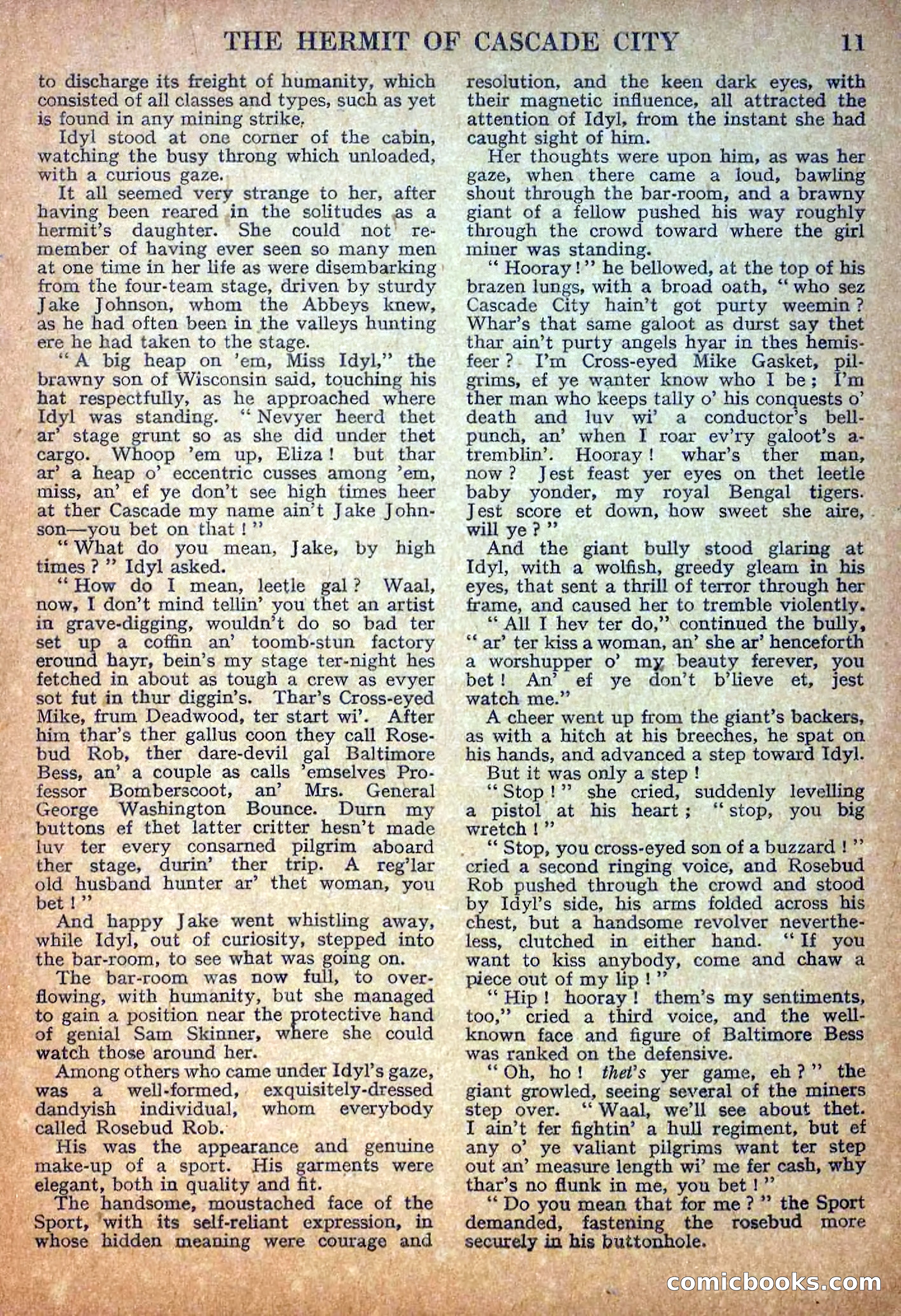 Deadwood Dick Library No. 18: The Hermit of Cascade City — page 13 of 36