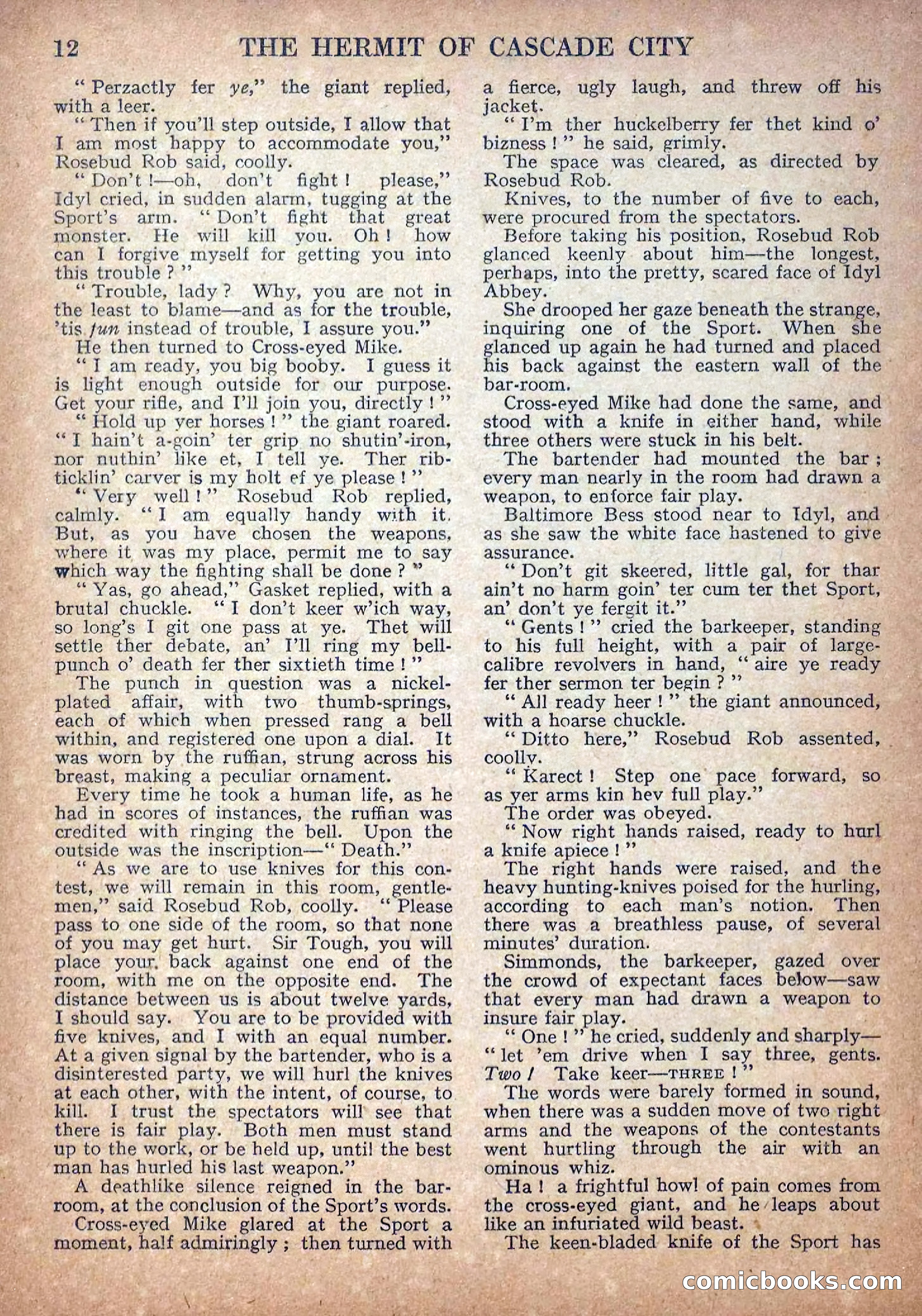 Deadwood Dick Library No. 18: The Hermit of Cascade City — page 14 of 36