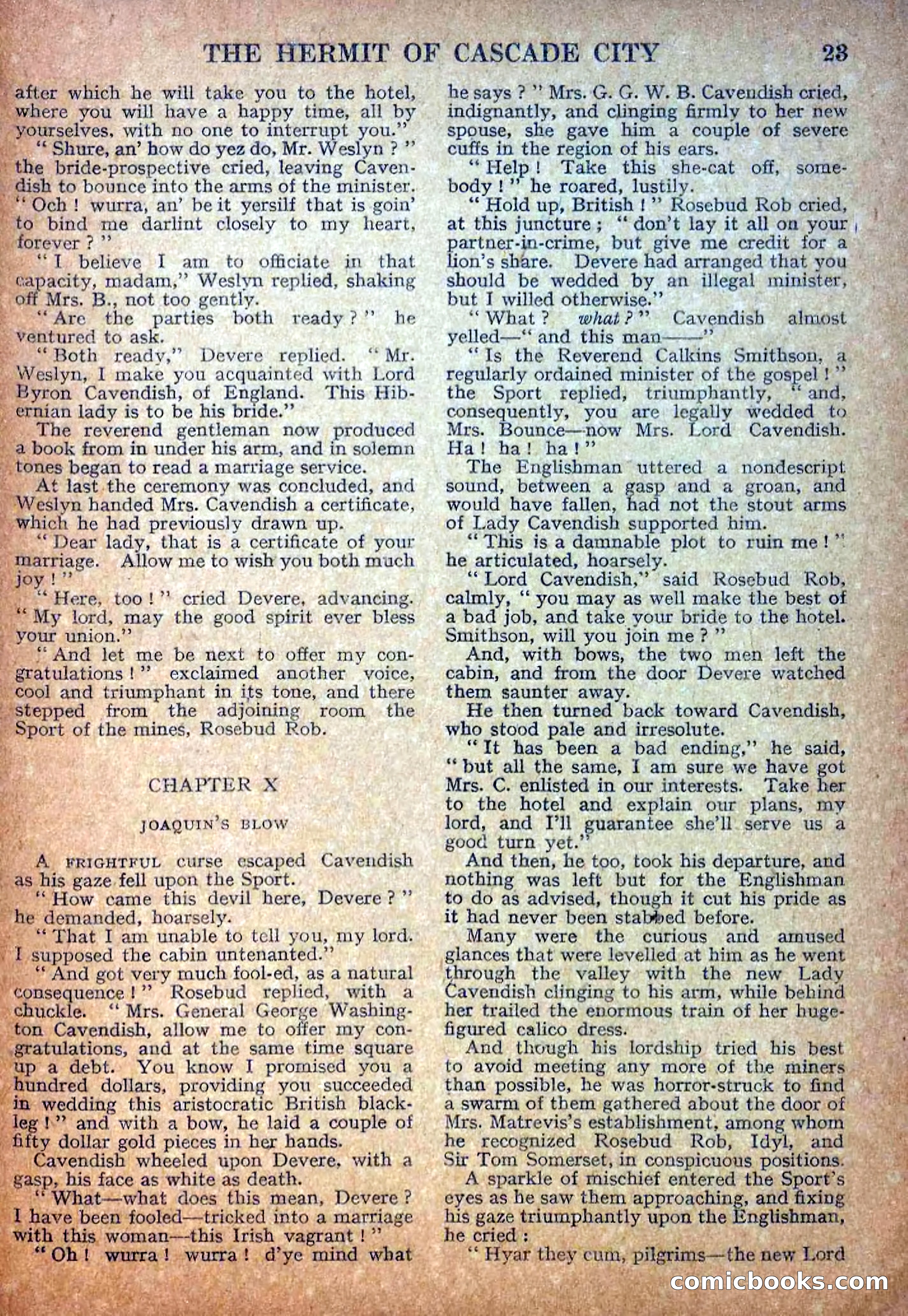 Deadwood Dick Library No. 18: The Hermit of Cascade City — page 25 of 36