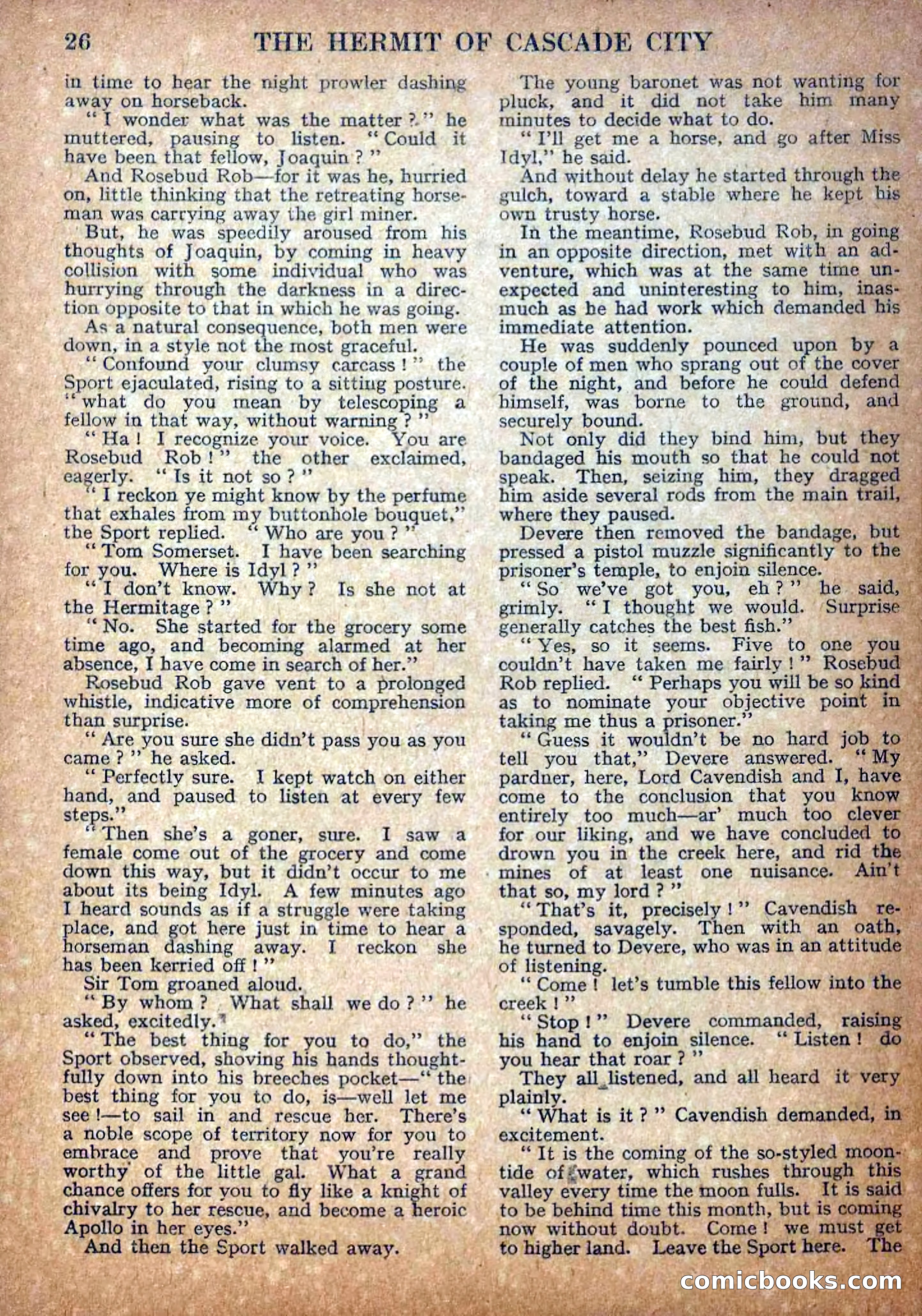 Deadwood Dick Library No. 18: The Hermit of Cascade City — page 28 of 36