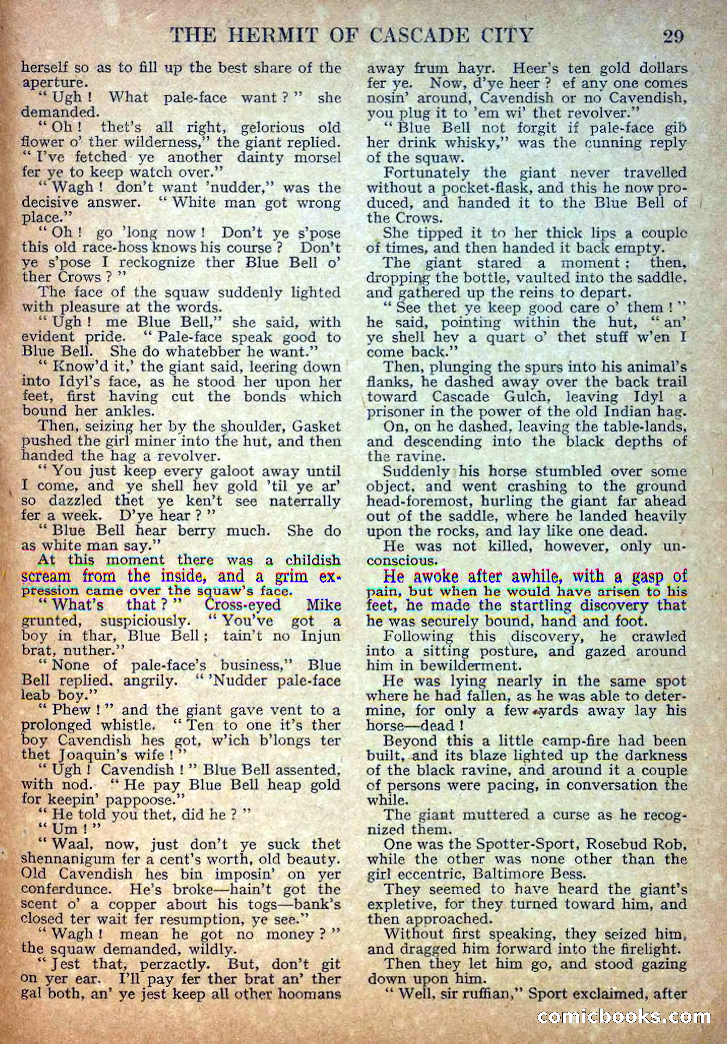 Deadwood Dick Library No. 18: The Hermit of Cascade City — page 31 of 36