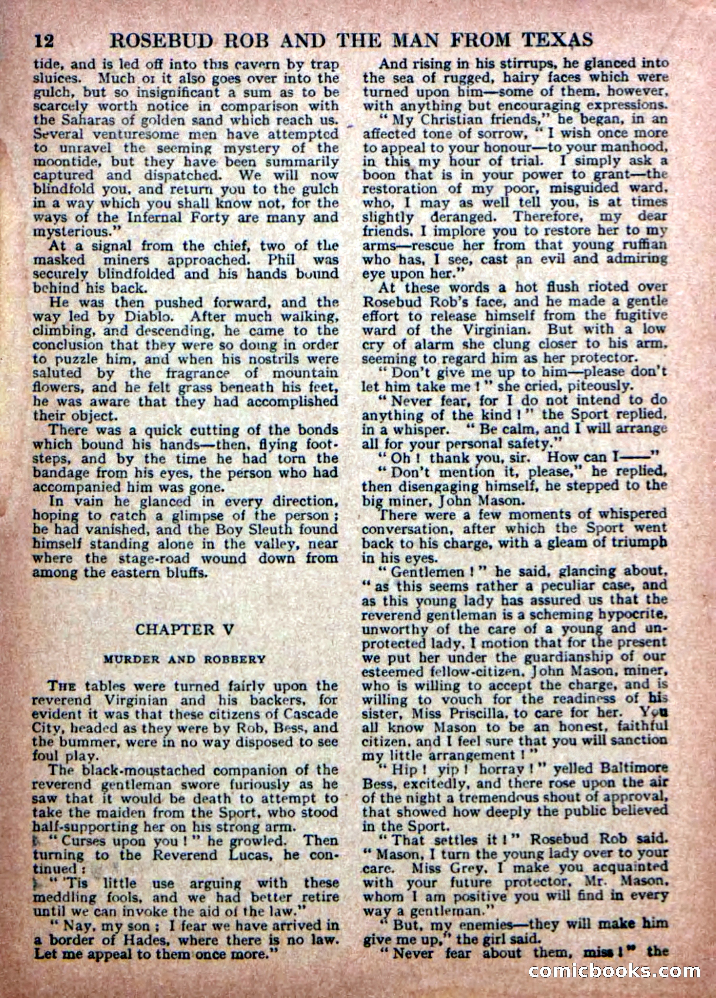 Deadwood Dick Library No. 19 — page 14 of 36