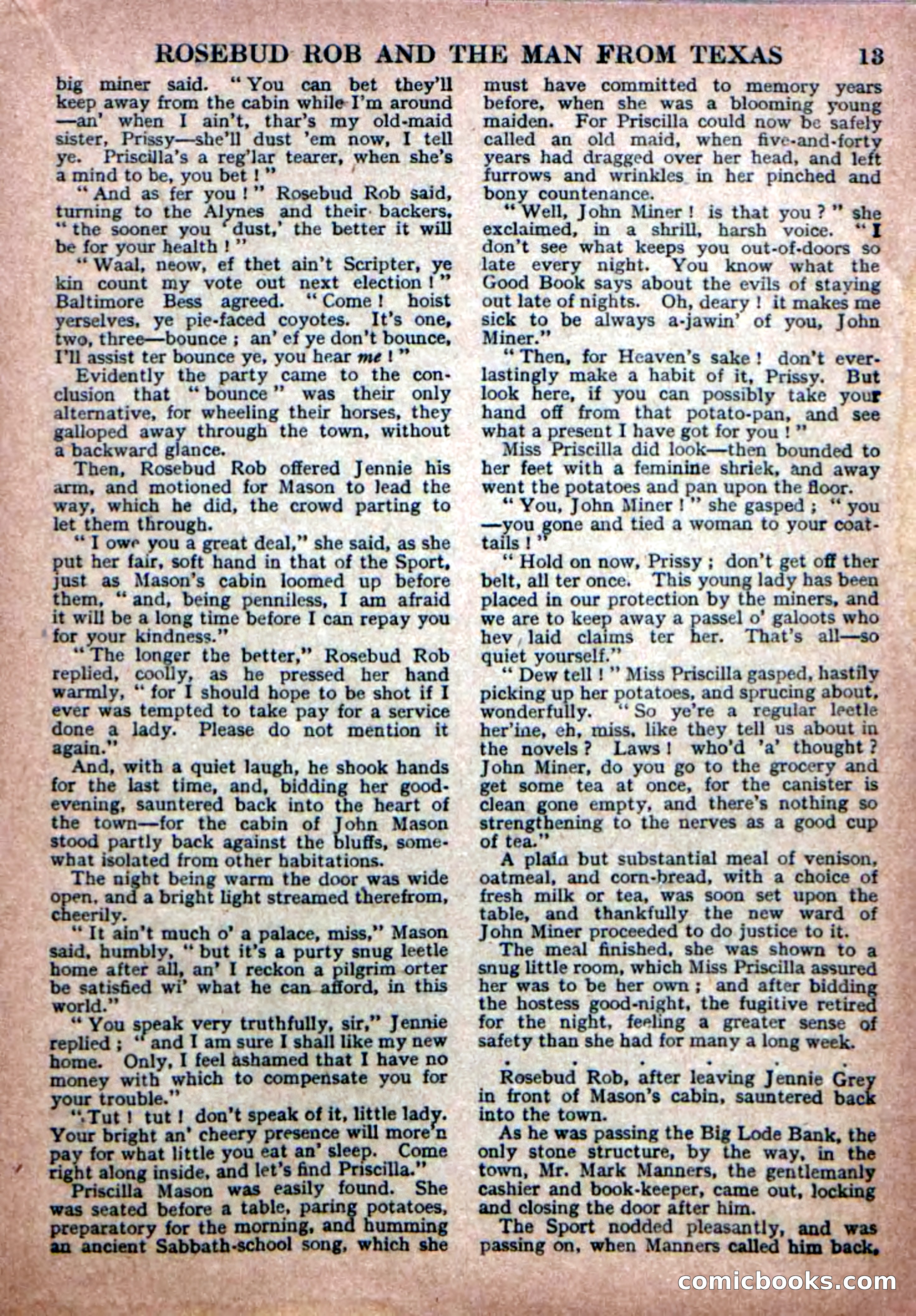 Deadwood Dick Library No. 19 — page 15 of 36
