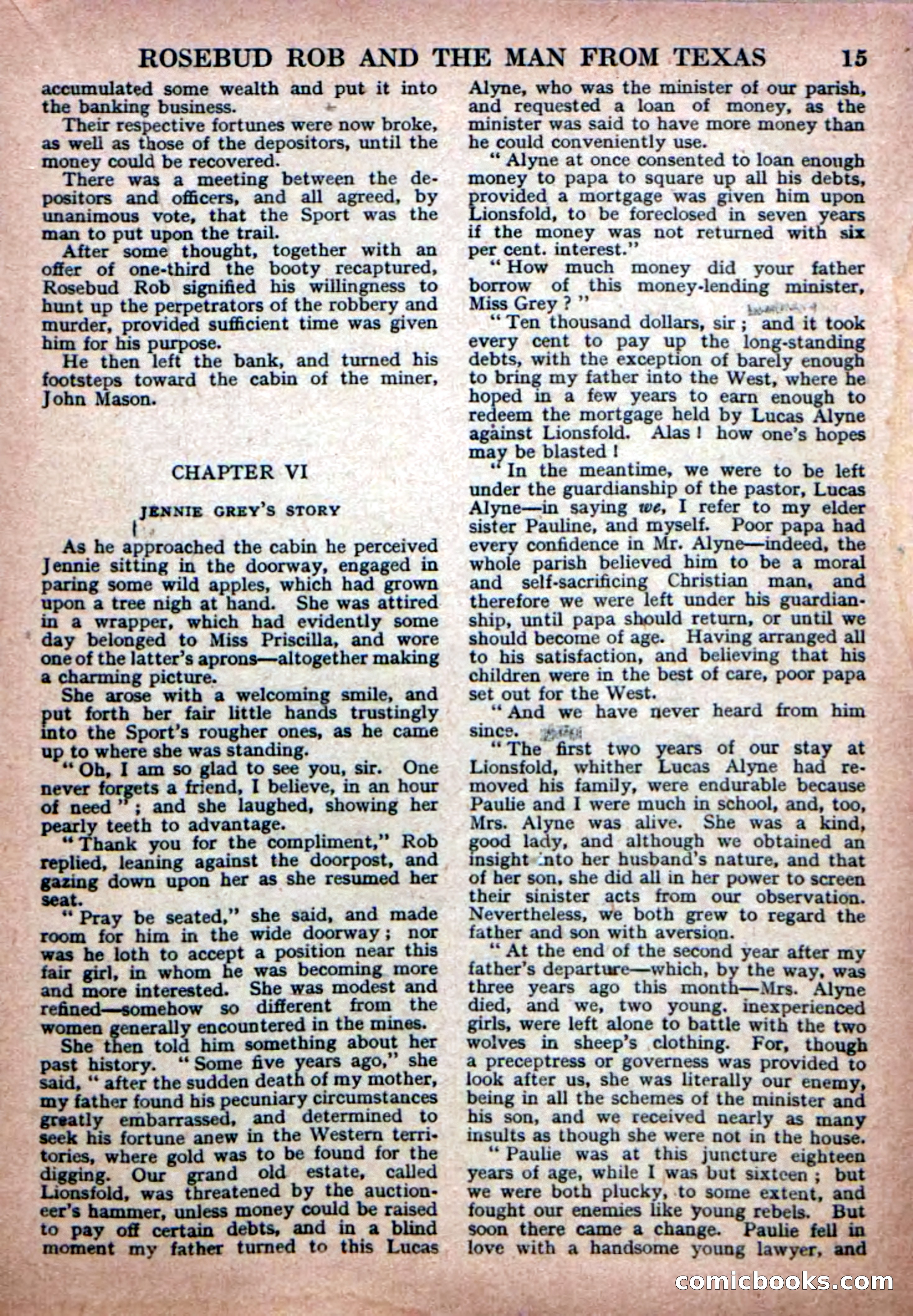 Deadwood Dick Library No. 19 — page 17 of 36