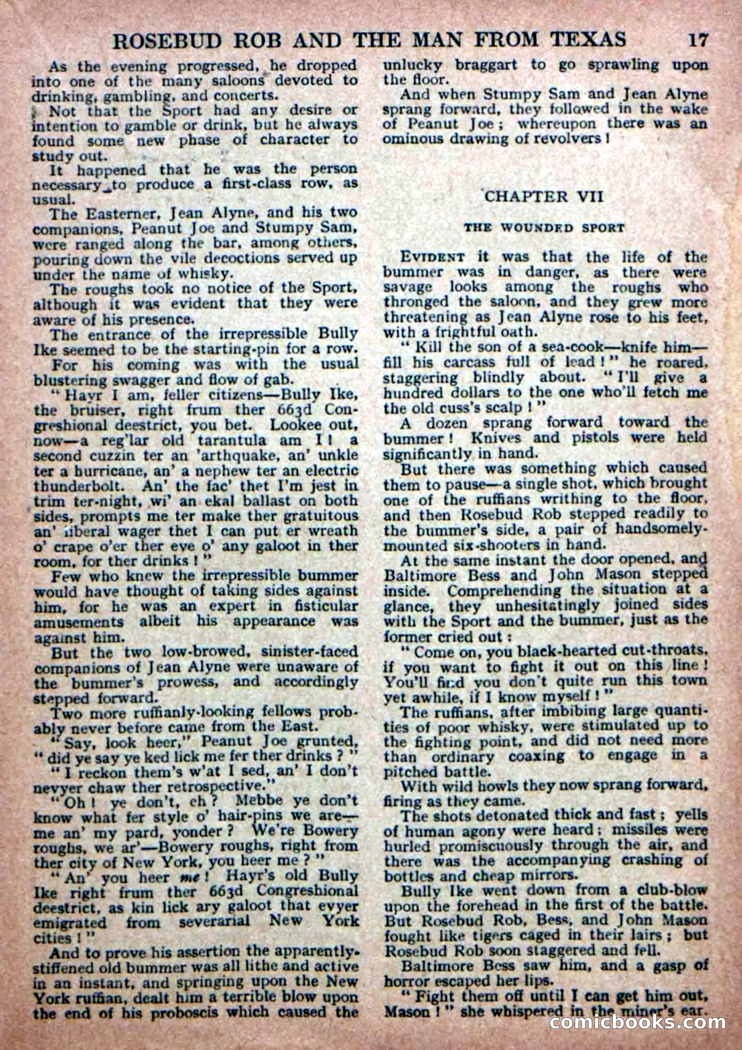 Deadwood Dick Library No. 19 — page 19 of 36