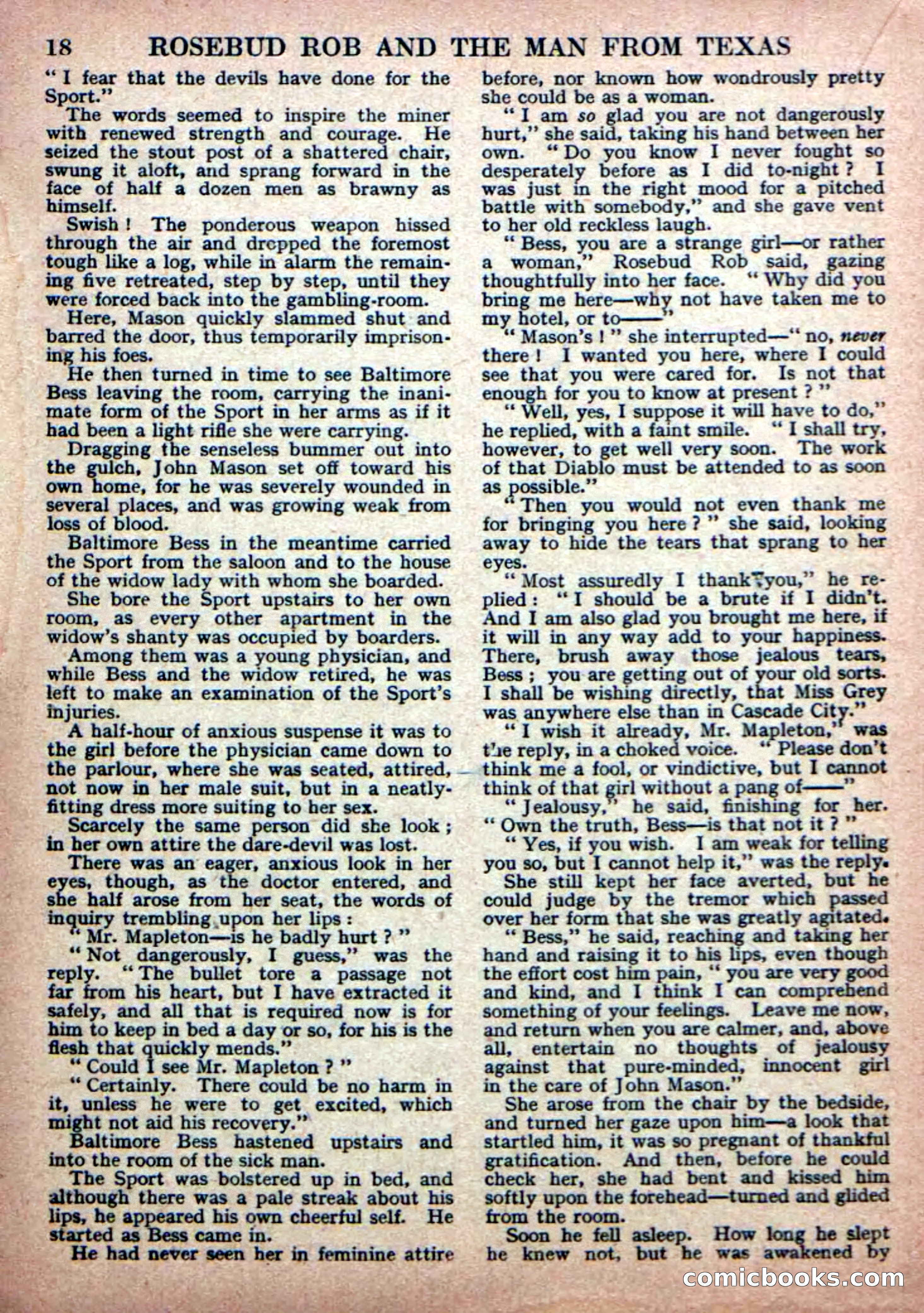Deadwood Dick Library No. 19 — page 20 of 36