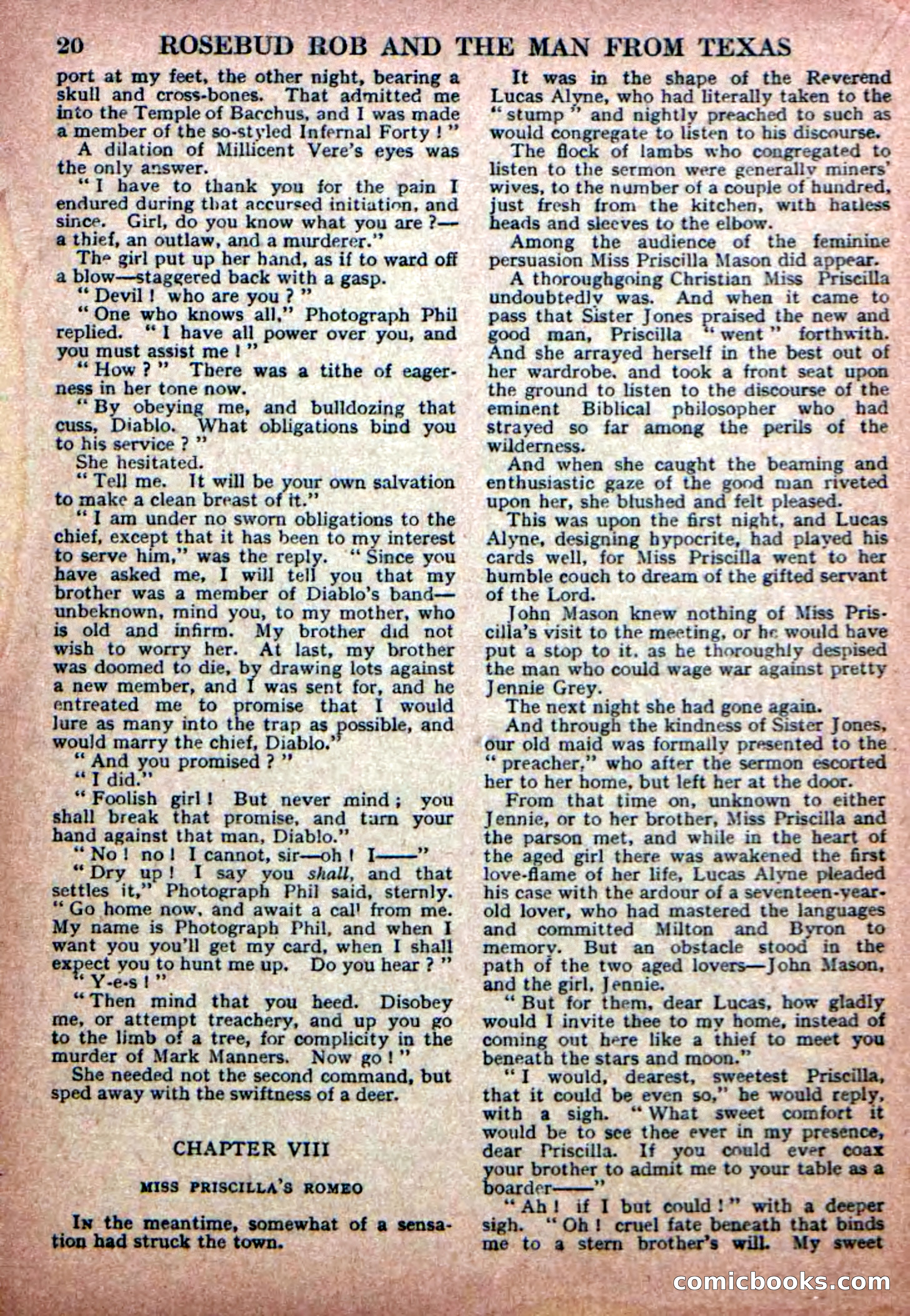 Deadwood Dick Library No. 19 — page 22 of 36