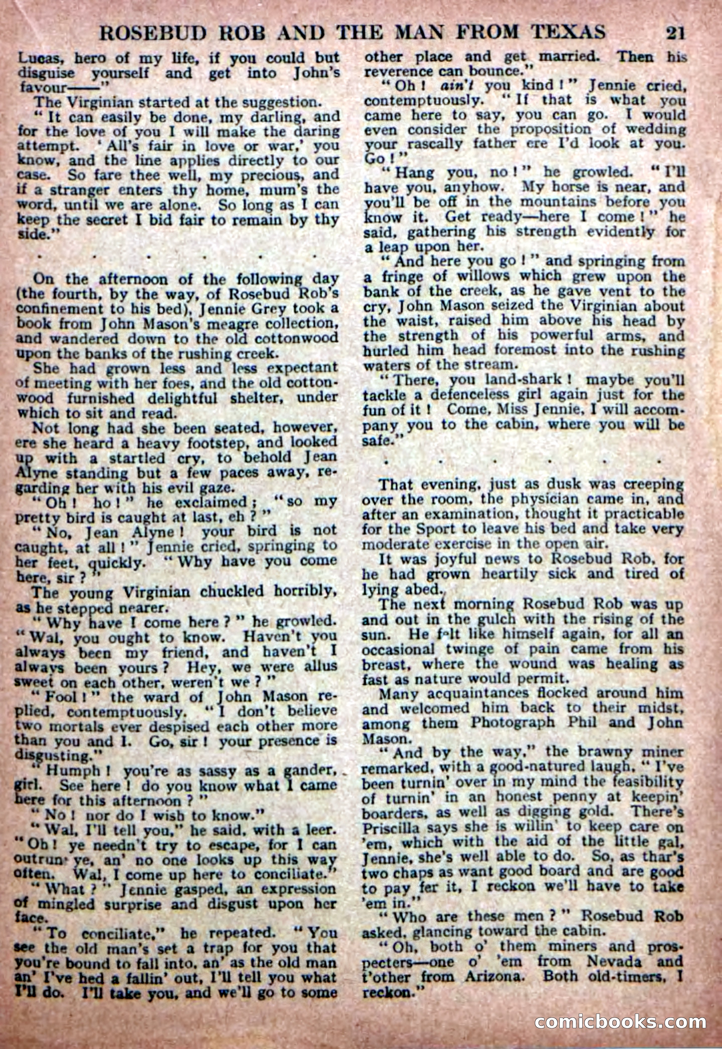 Deadwood Dick Library No. 19 — page 23 of 36