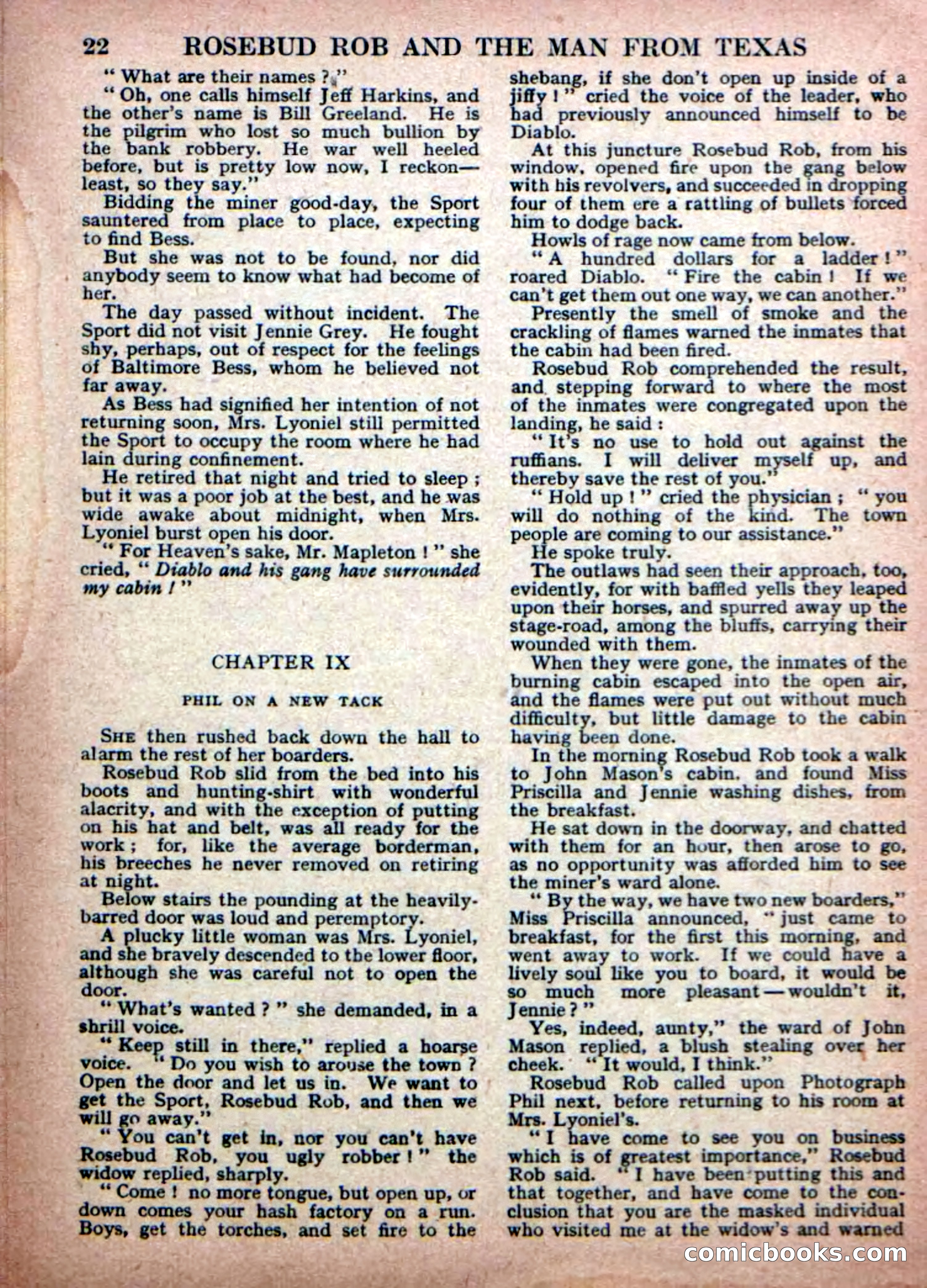 Deadwood Dick Library No. 19 — page 24 of 36