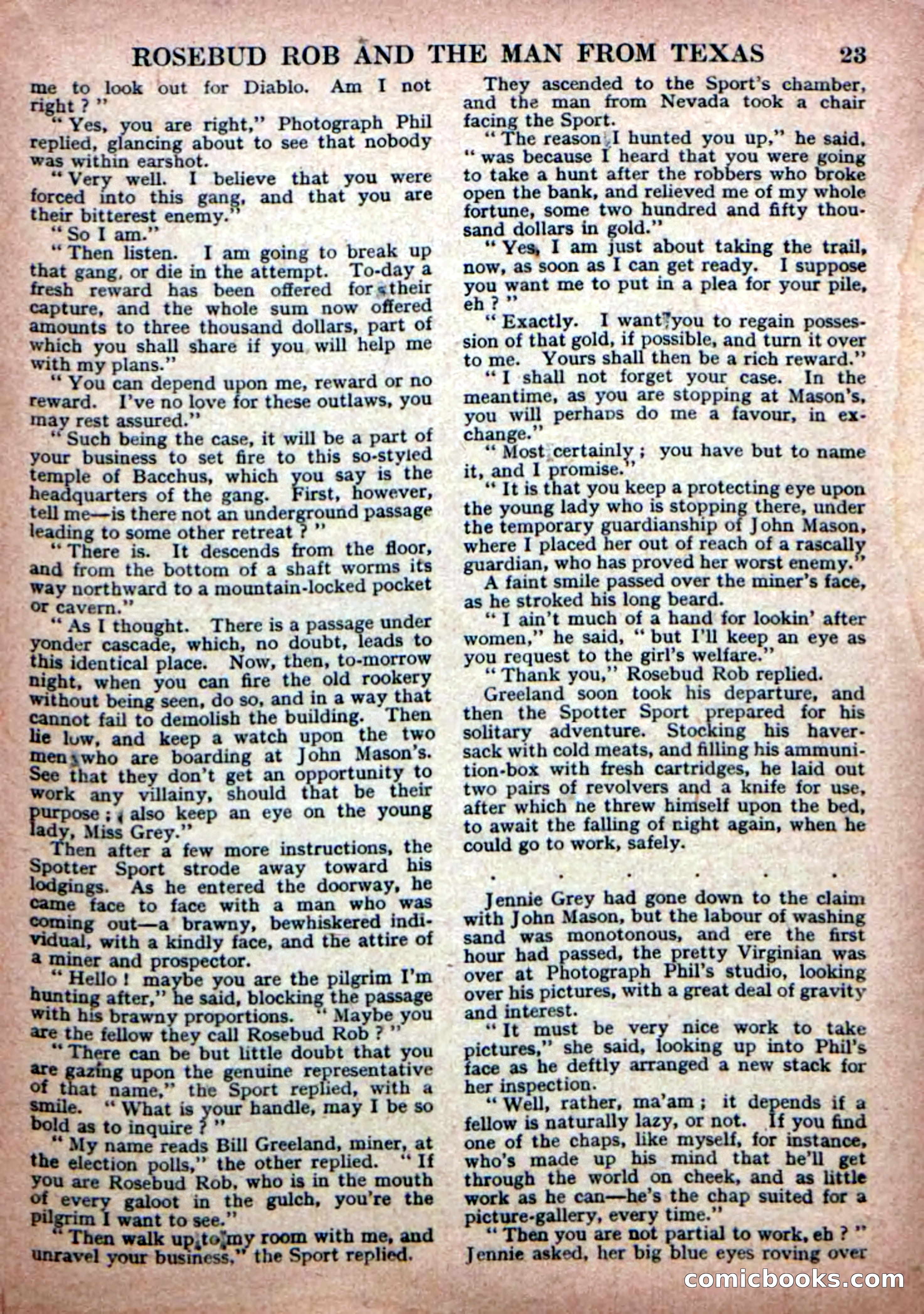 Deadwood Dick Library No. 19 — page 25 of 36