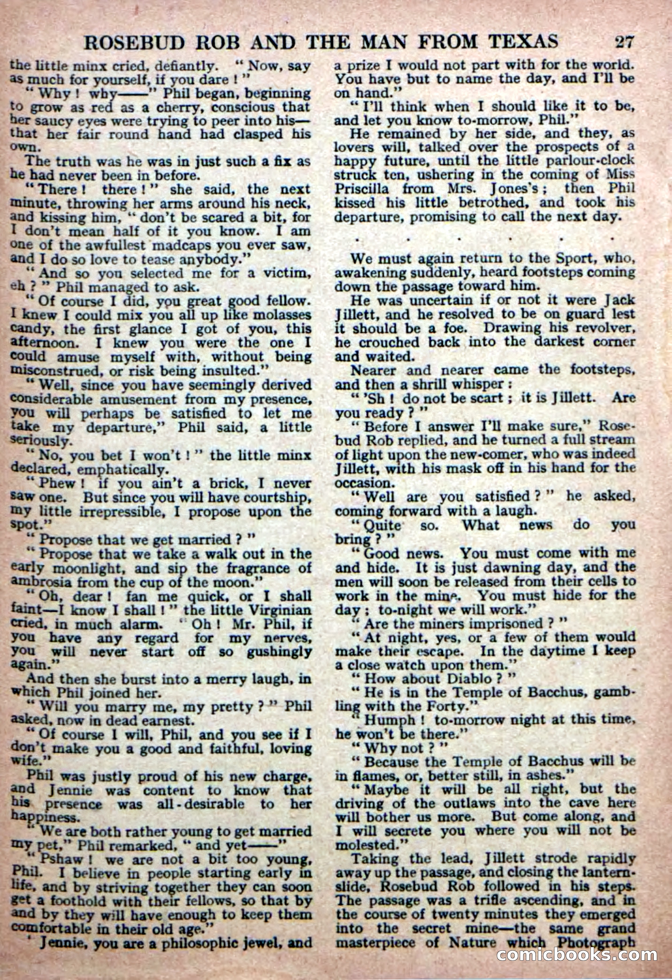 Deadwood Dick Library No. 19 — page 29 of 36