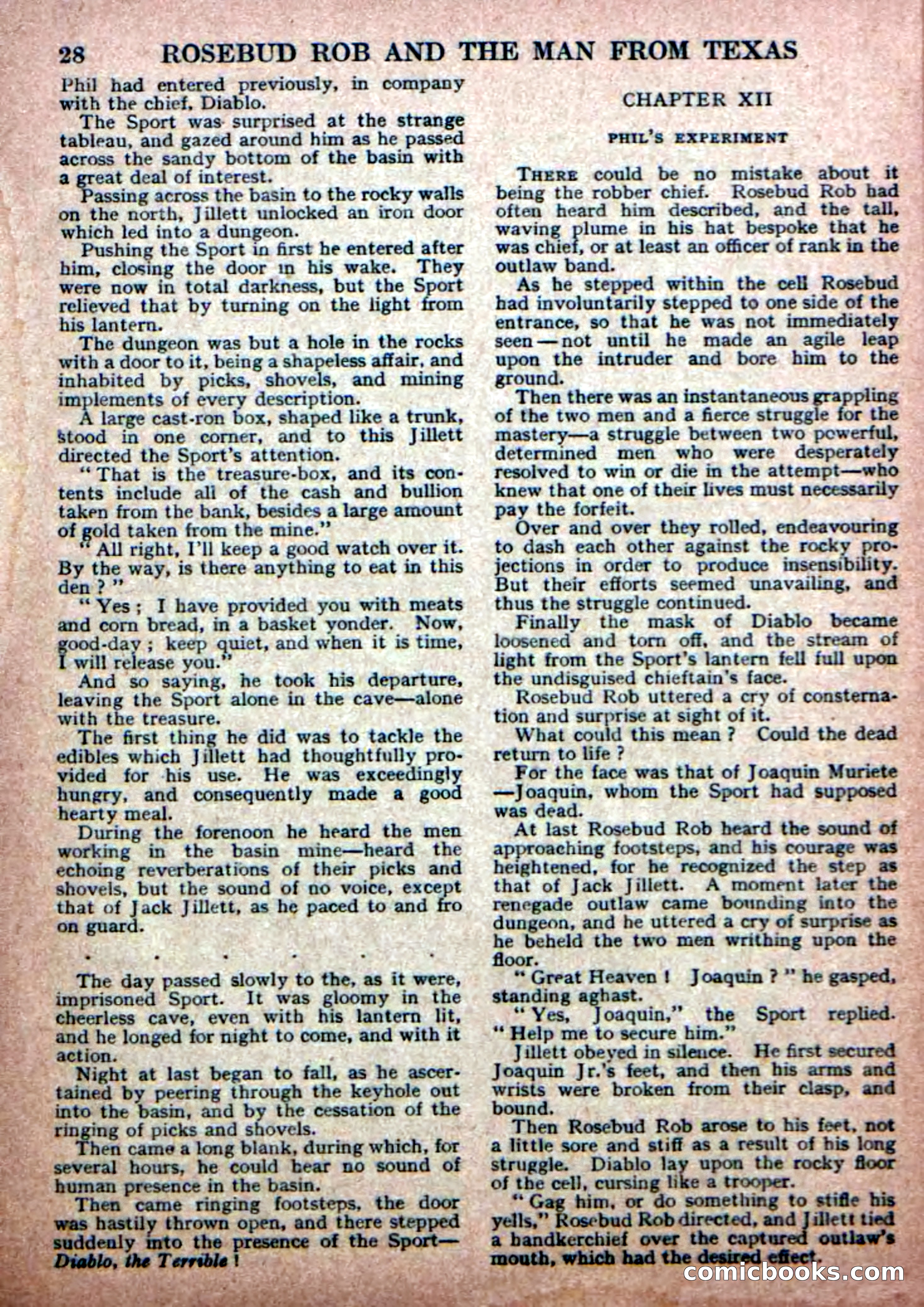 Deadwood Dick Library No. 19 — page 30 of 36