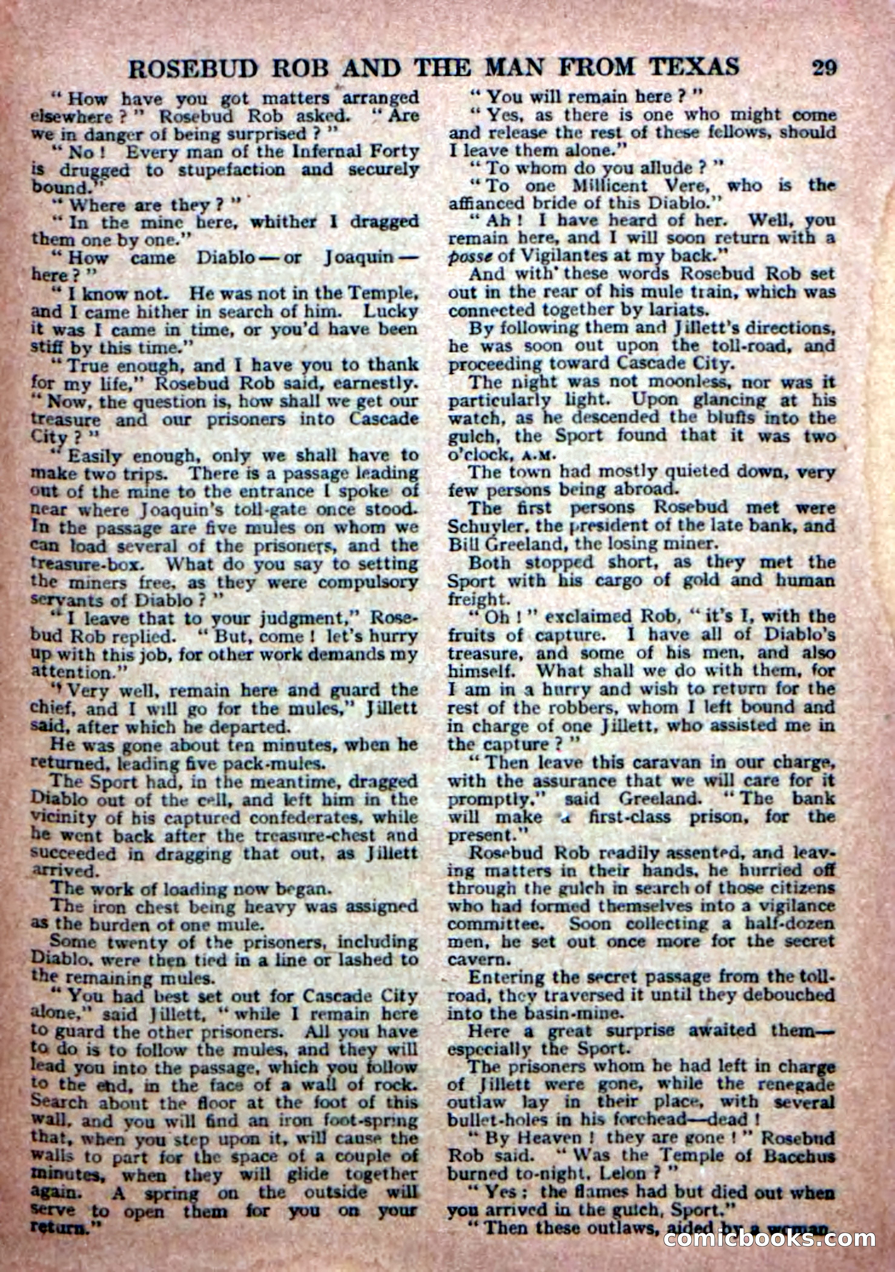 Deadwood Dick Library No. 19 — page 31 of 36