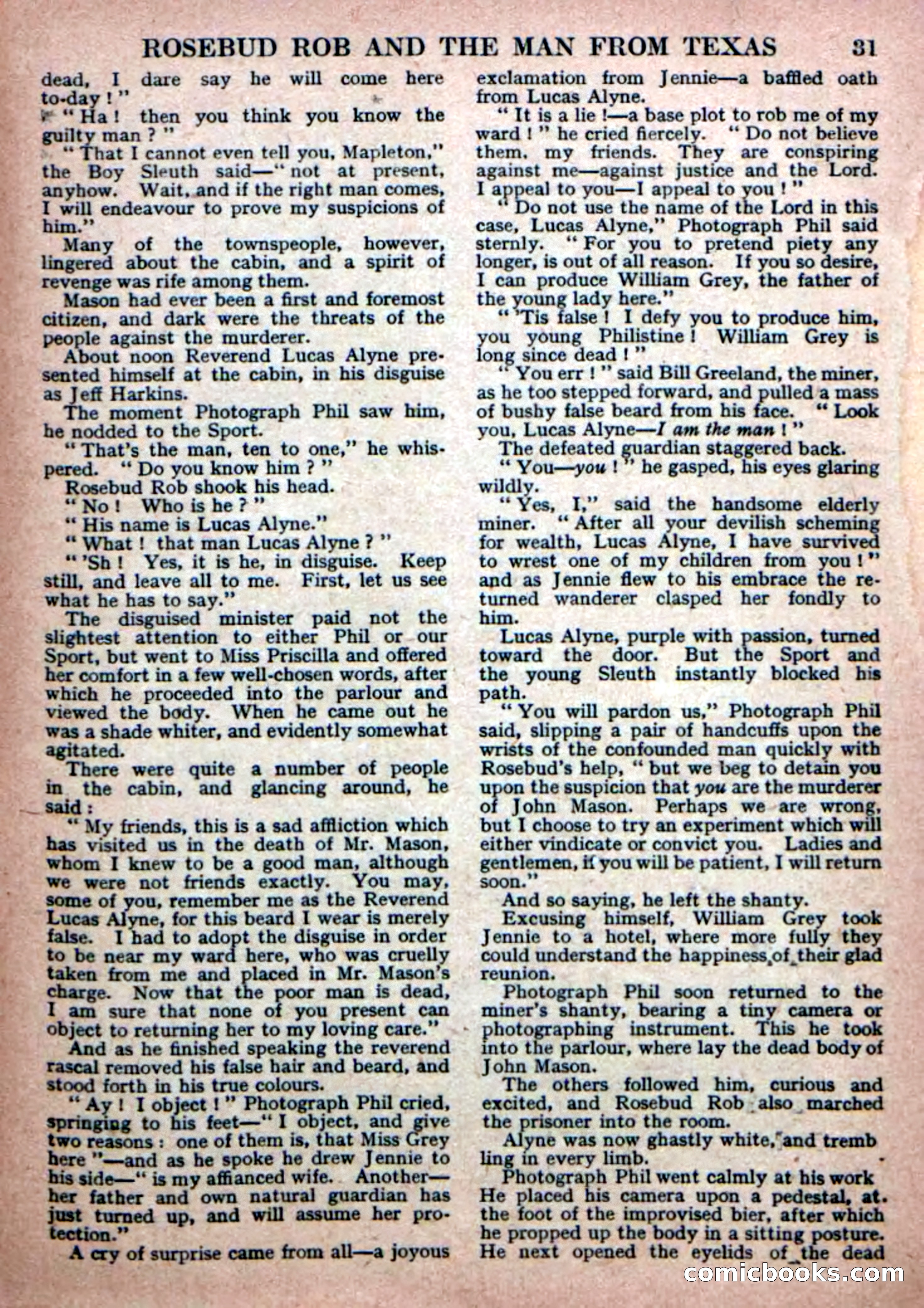 Deadwood Dick Library No. 19 — page 33 of 36