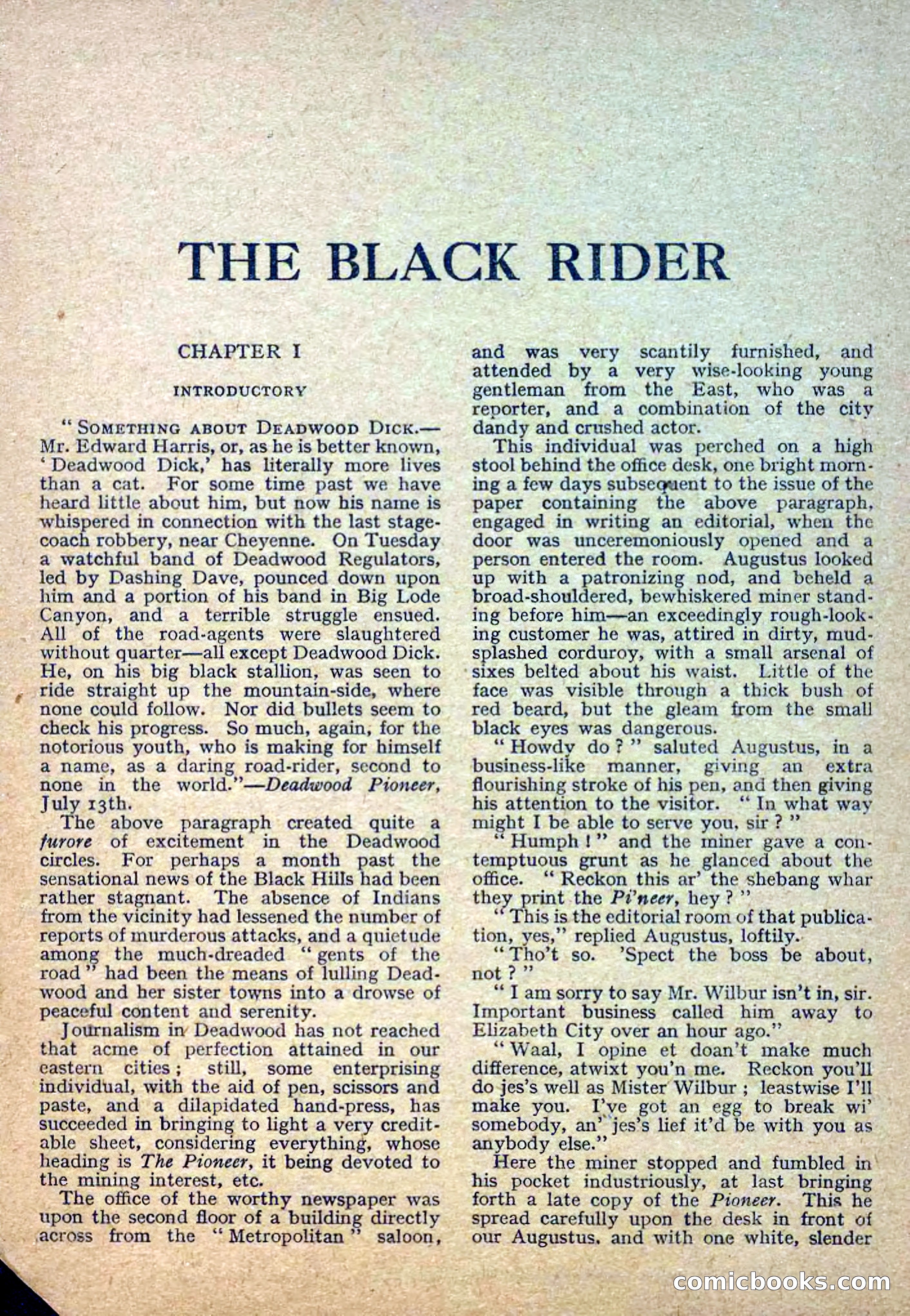 Deadwood Dick Library No. 2: The Black Rider — page 3 of 36