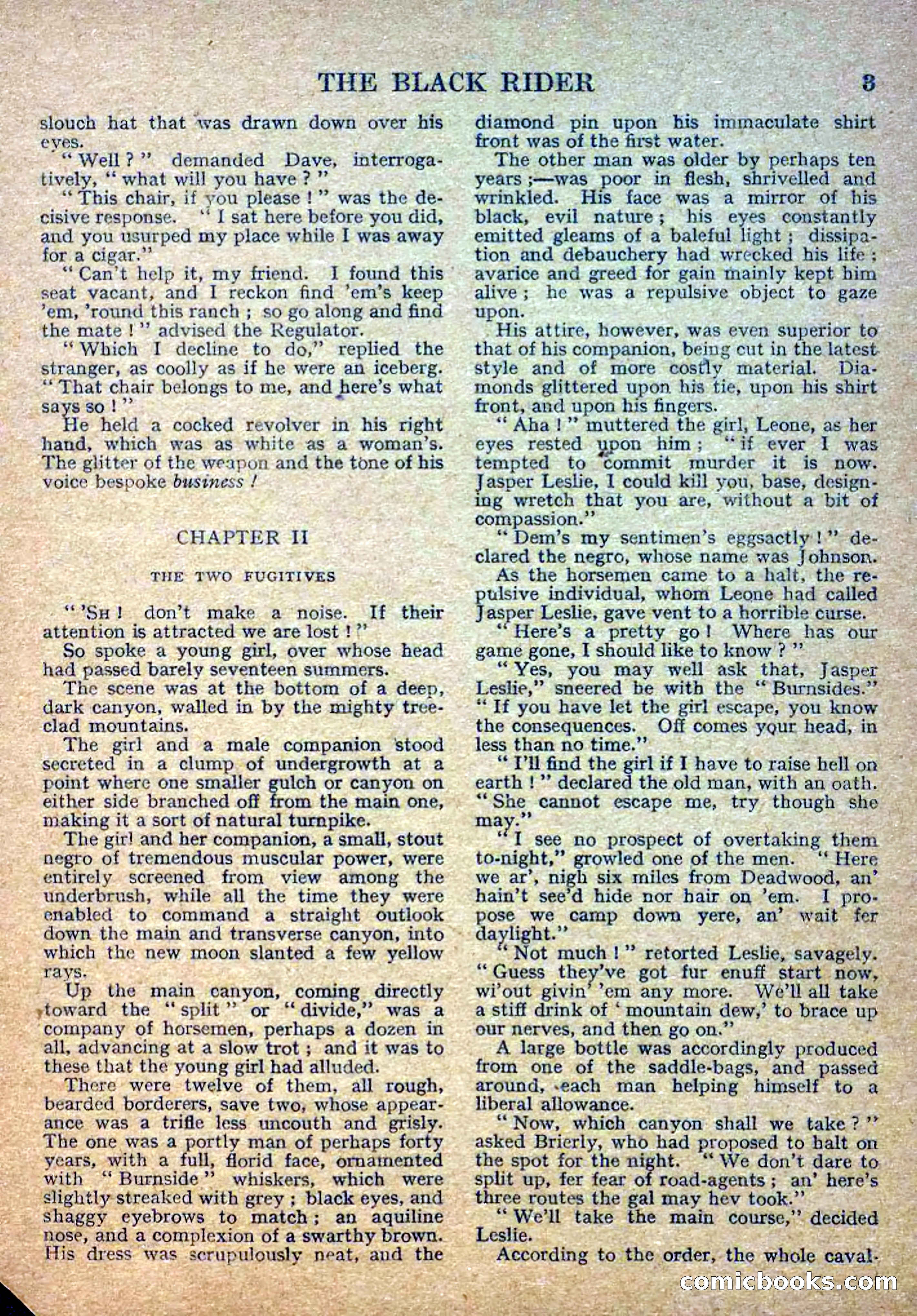 Deadwood Dick Library No. 2: The Black Rider — page 5 of 36