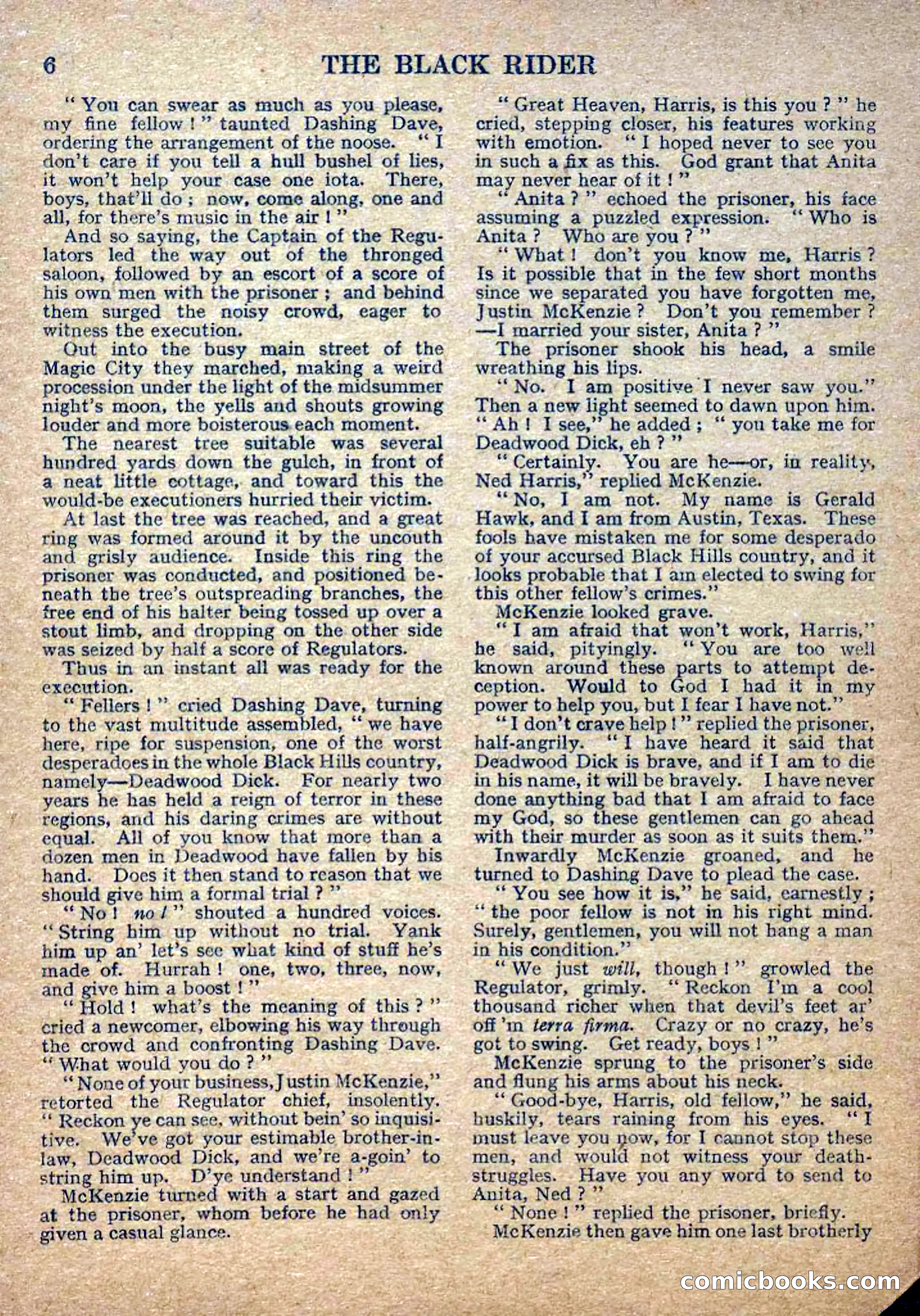 Deadwood Dick Library No. 2: The Black Rider — page 8 of 36