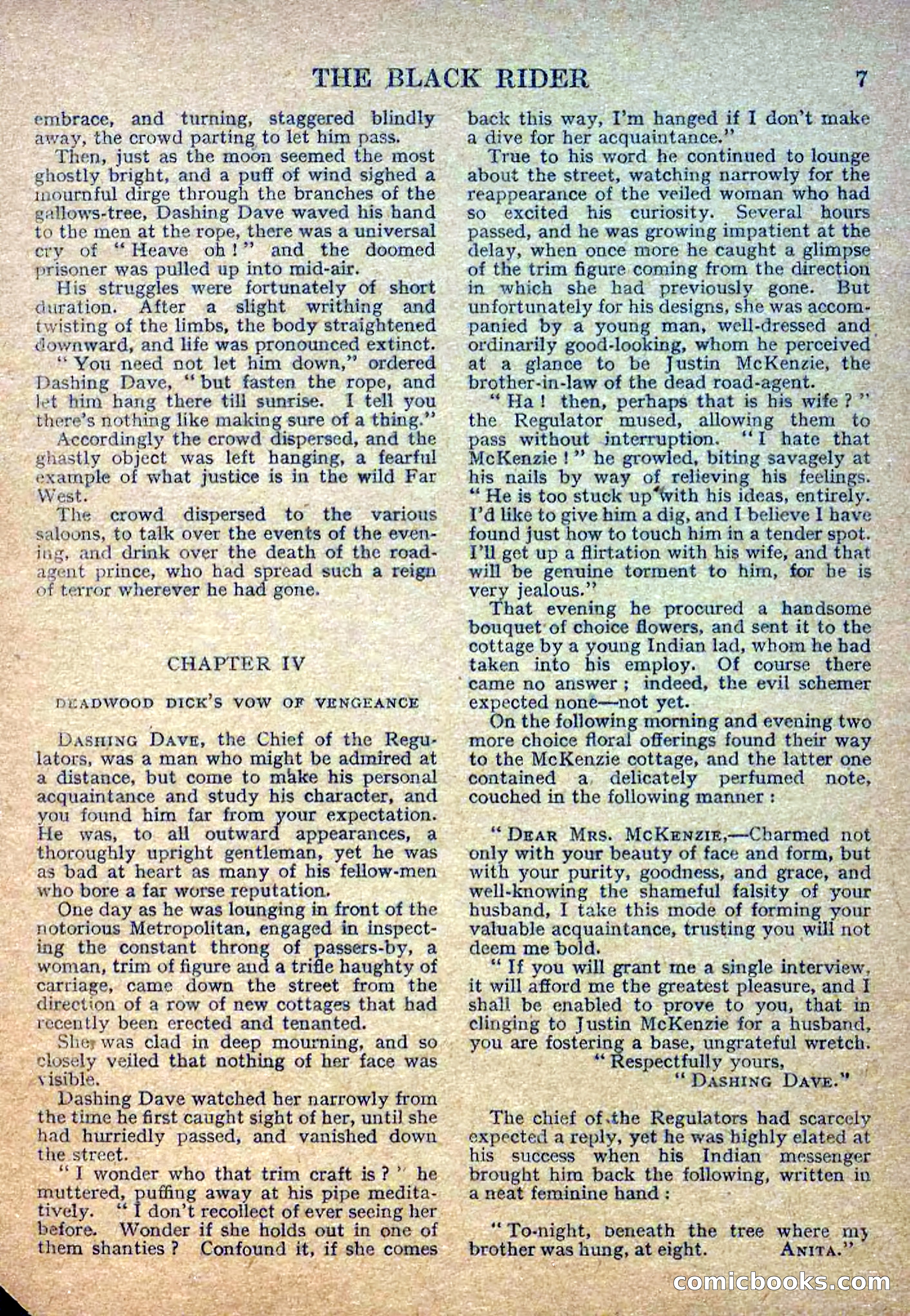 Deadwood Dick Library No. 2: The Black Rider — page 9 of 36