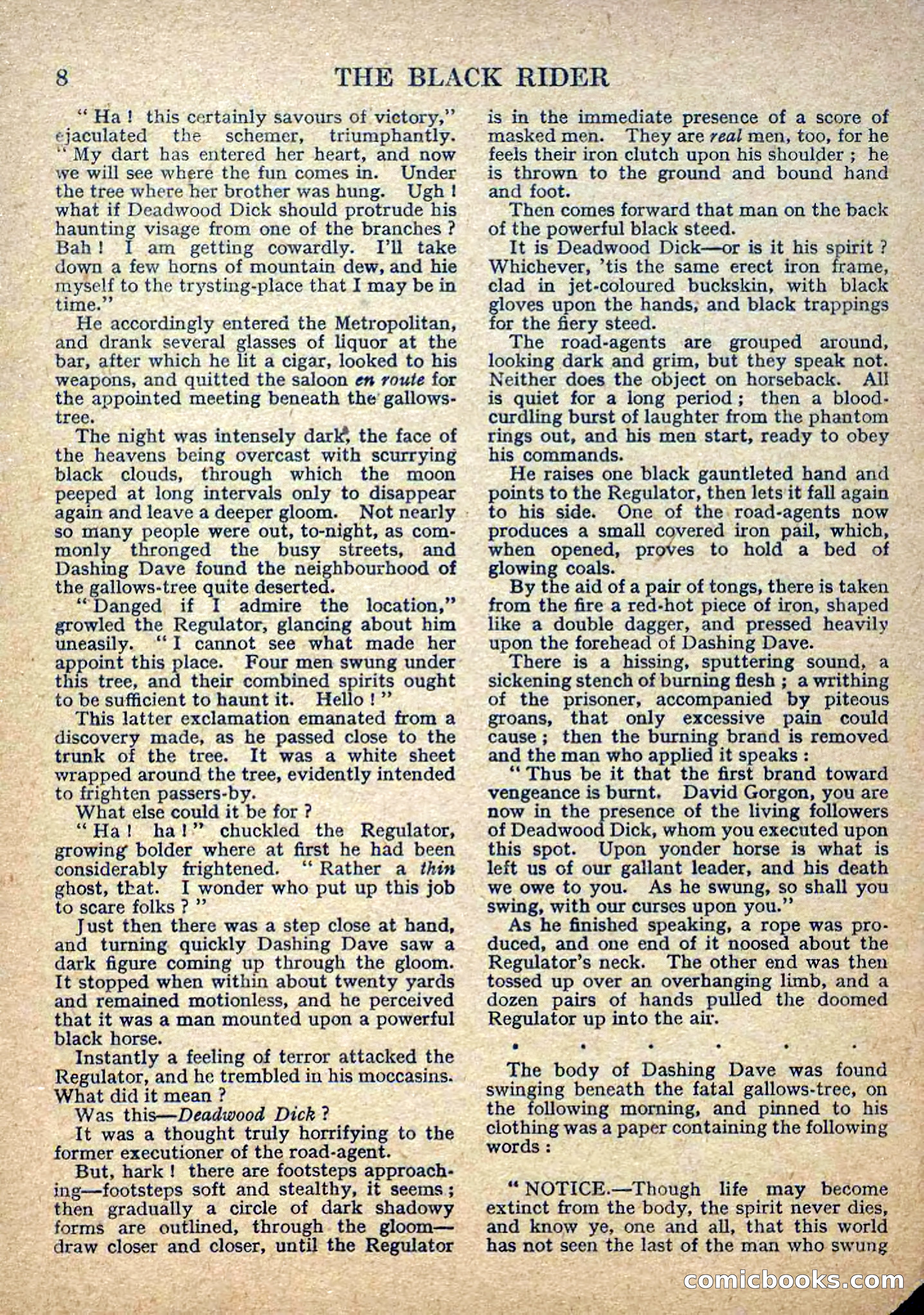 Deadwood Dick Library No. 2: The Black Rider — page 10 of 36