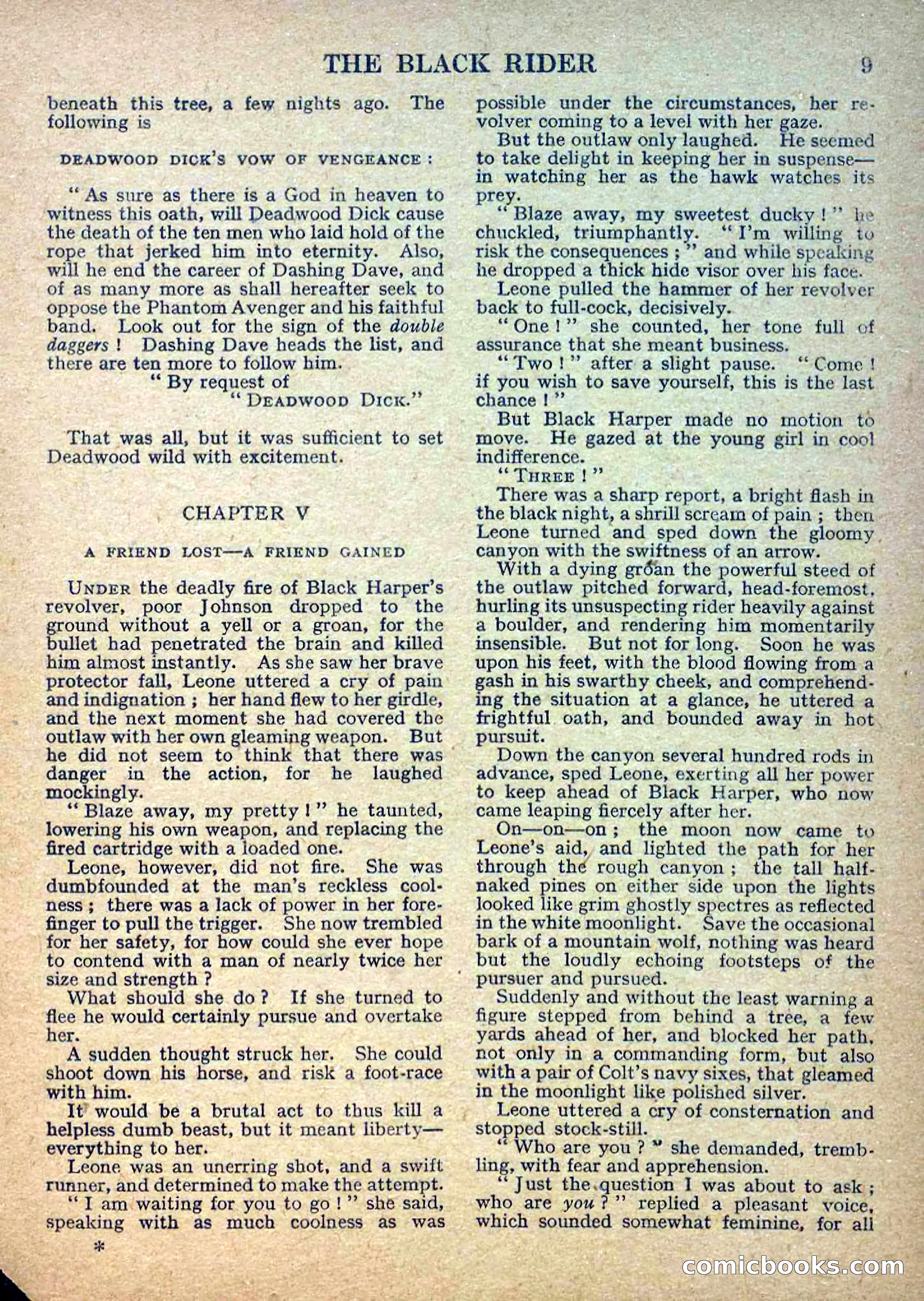 Deadwood Dick Library No. 2: The Black Rider — page 11 of 36