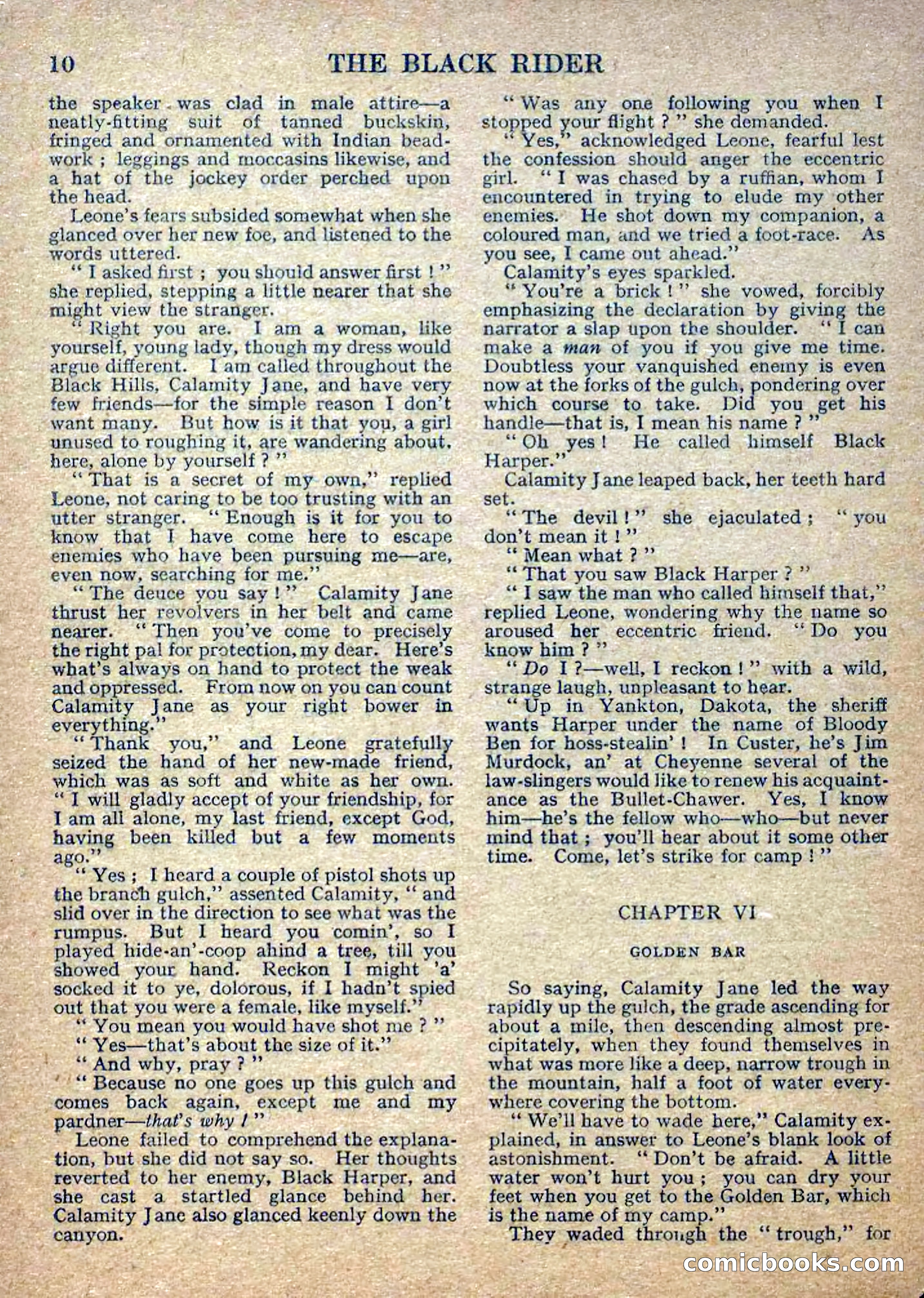 Deadwood Dick Library No. 2: The Black Rider — page 12 of 36