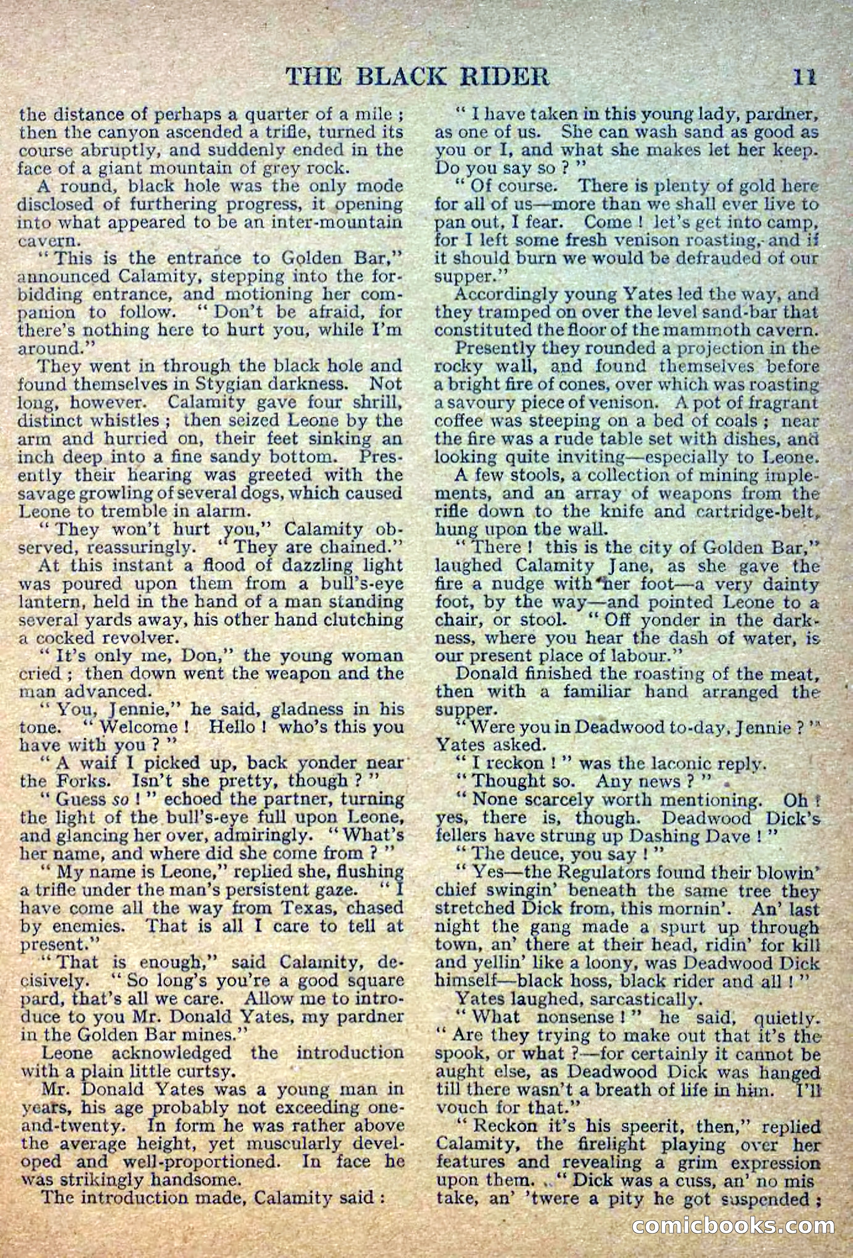 Deadwood Dick Library No. 2: The Black Rider — page 13 of 36