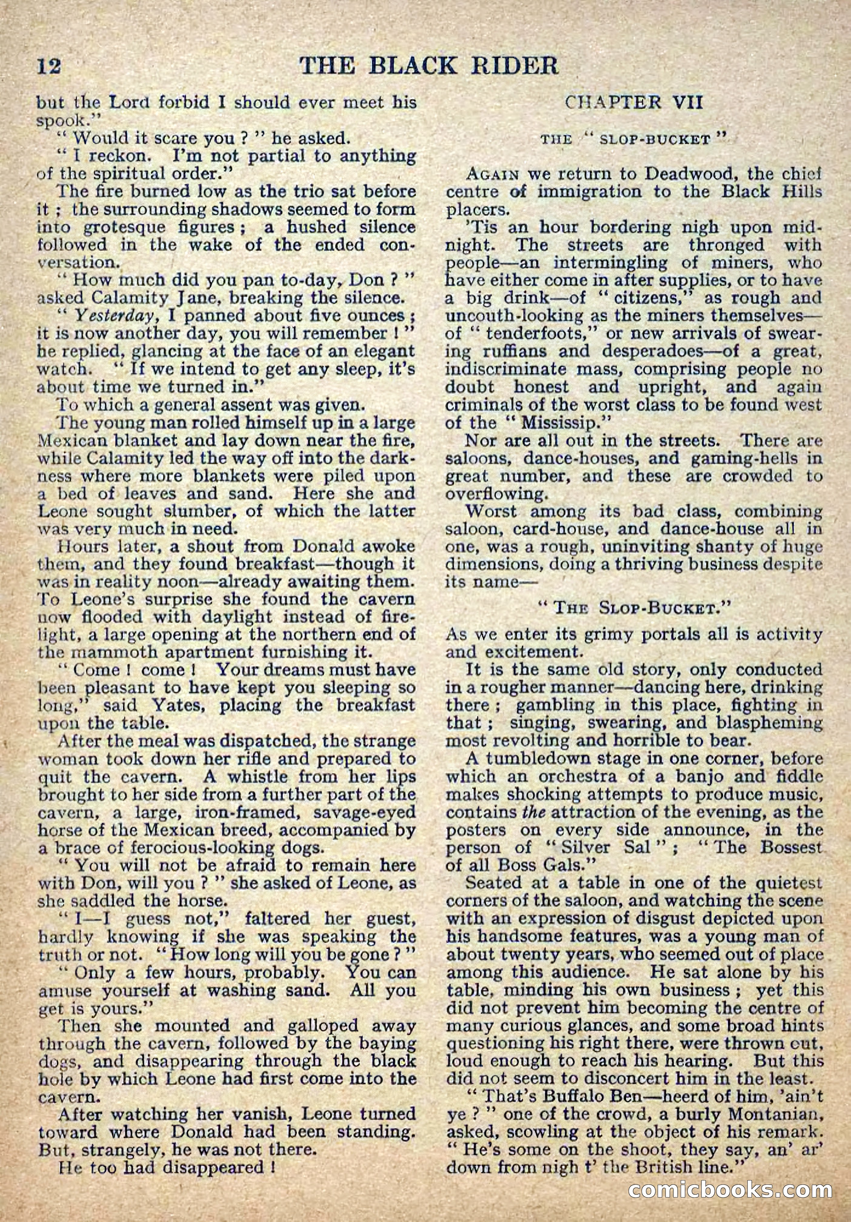 Deadwood Dick Library No. 2: The Black Rider — page 14 of 36