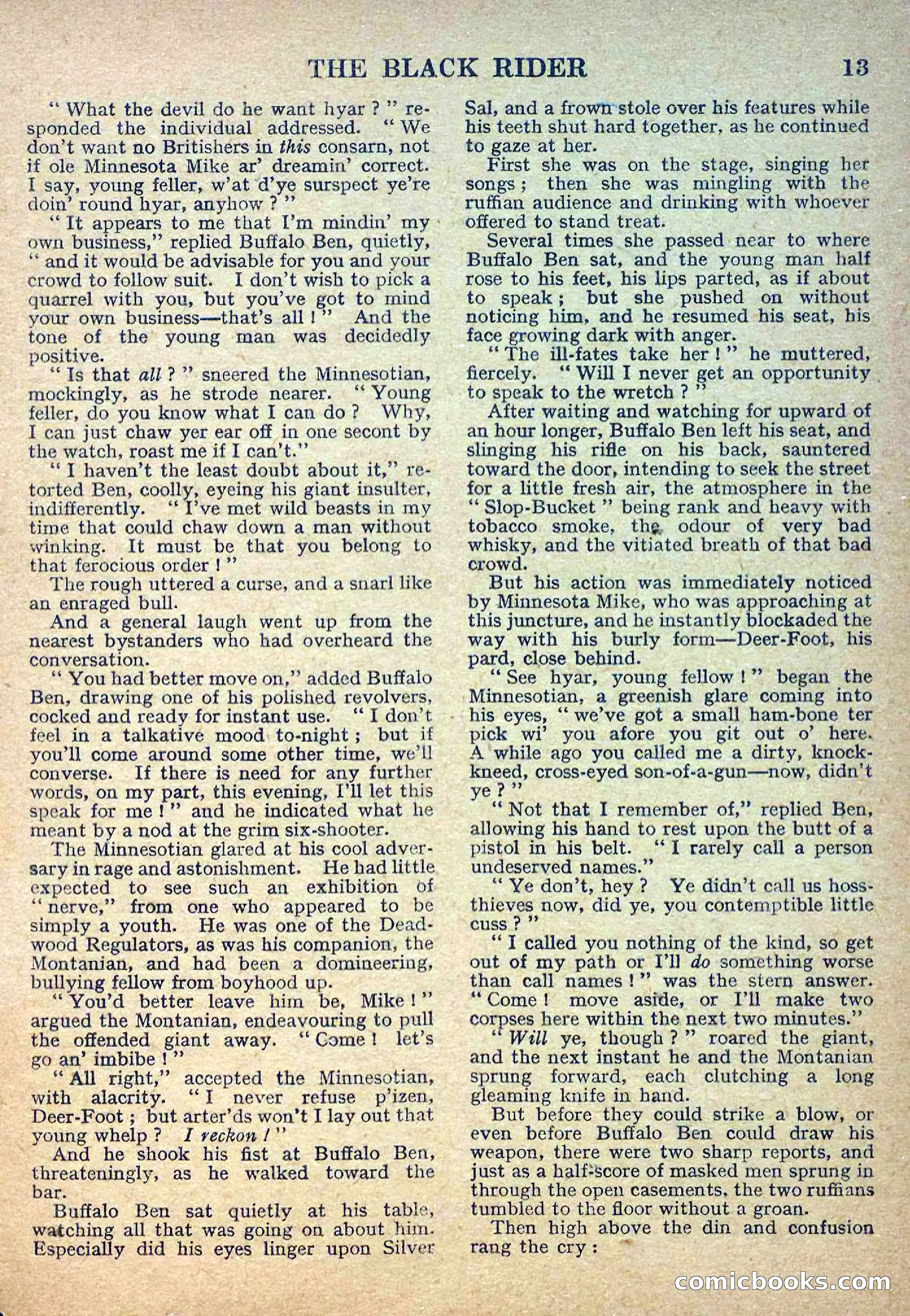 Deadwood Dick Library No. 2: The Black Rider — page 15 of 36