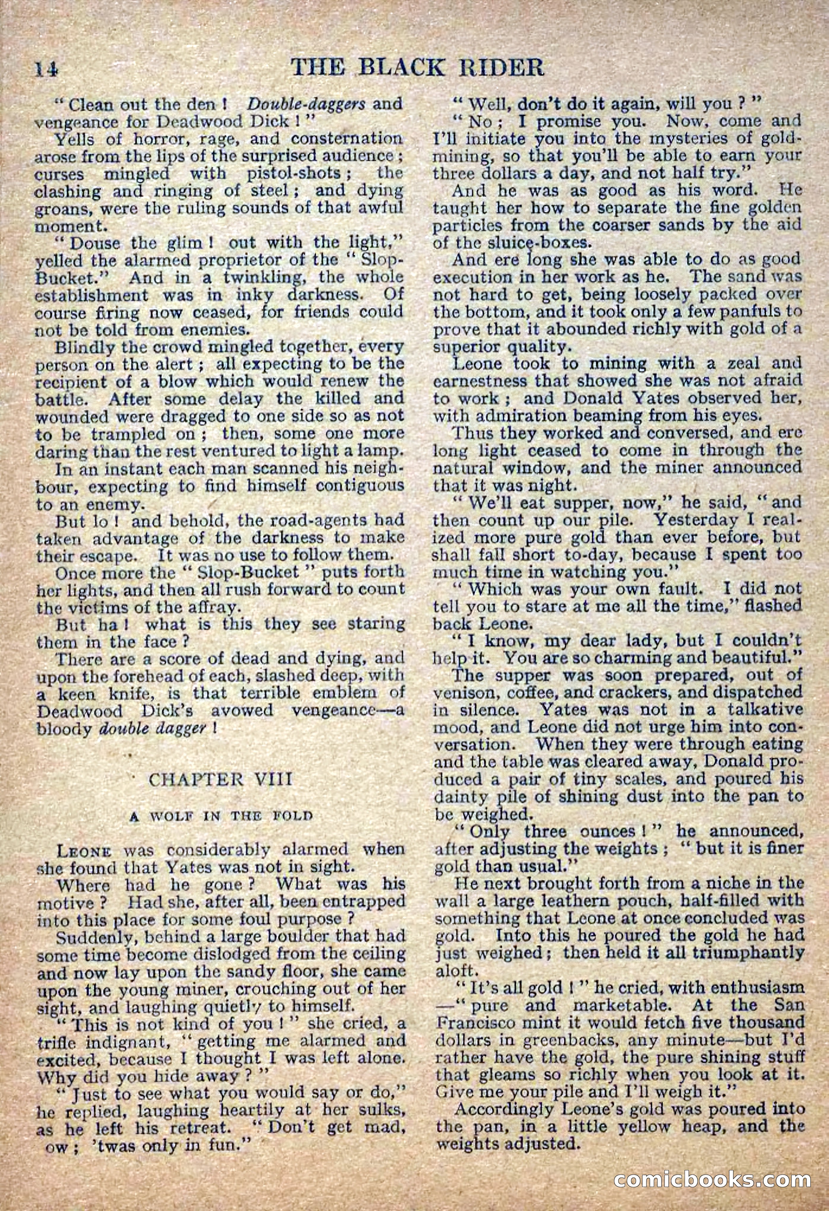 Deadwood Dick Library No. 2: The Black Rider — page 16 of 36