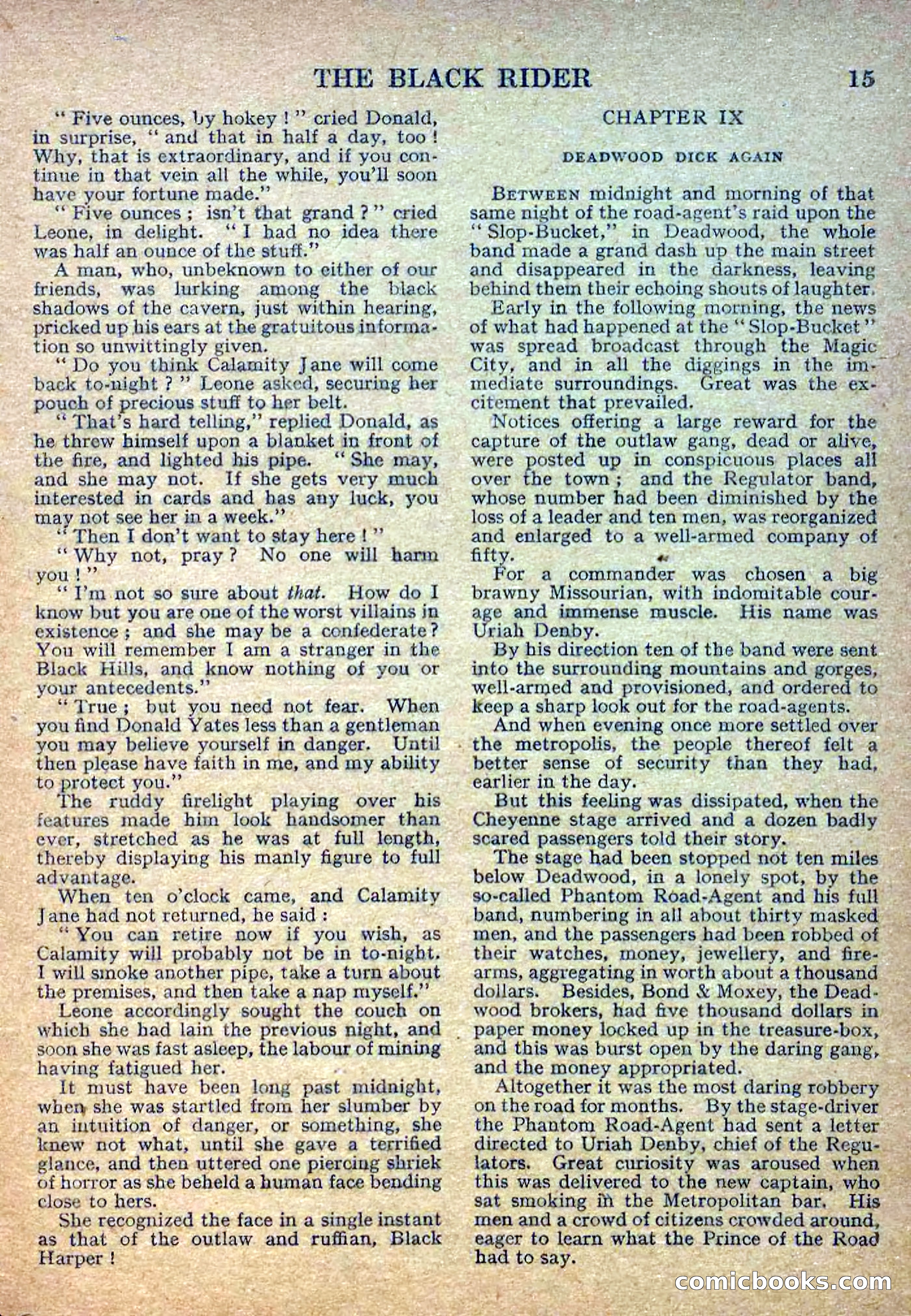 Deadwood Dick Library No. 2: The Black Rider — page 17 of 36