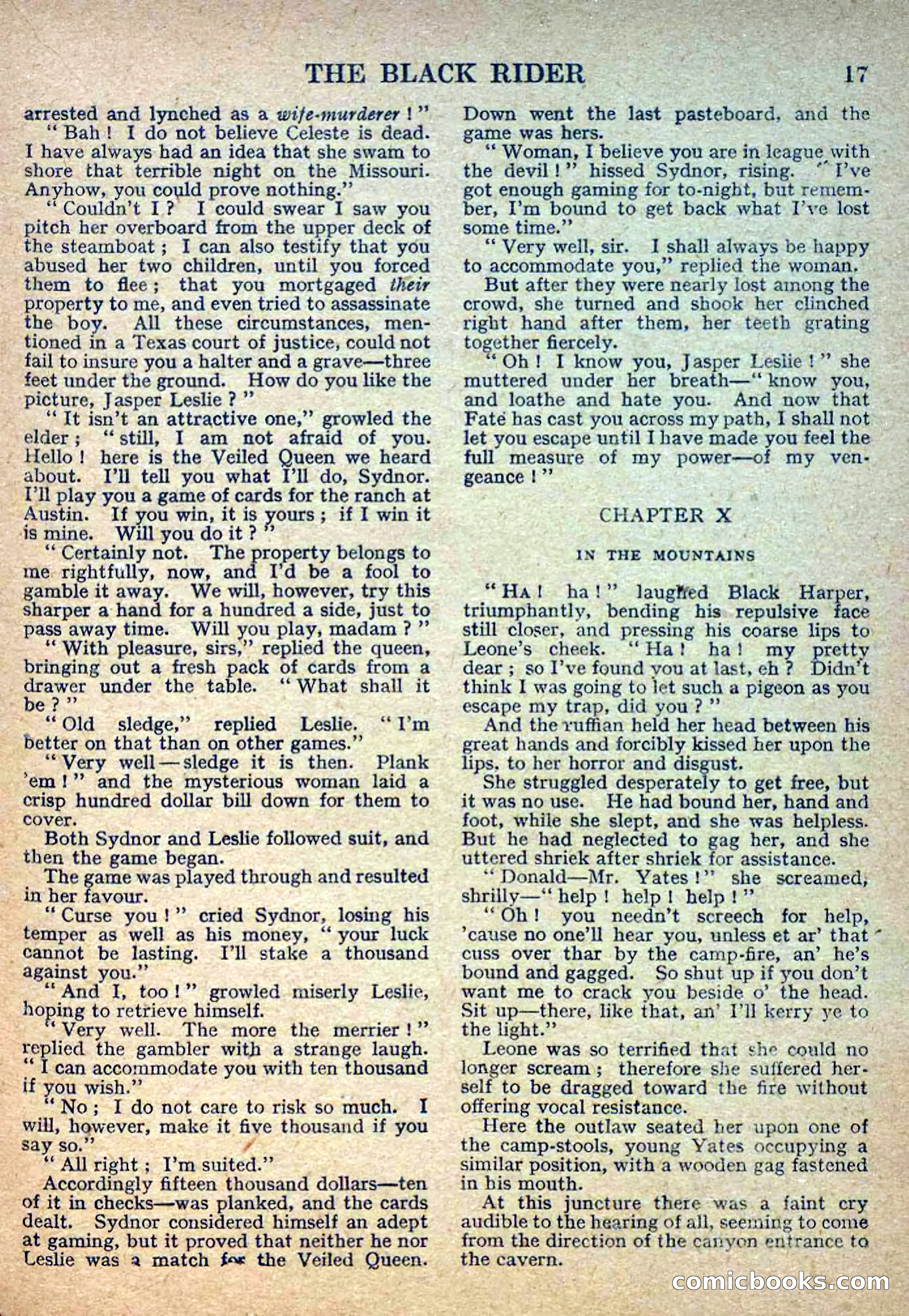 Deadwood Dick Library No. 2: The Black Rider — page 19 of 36