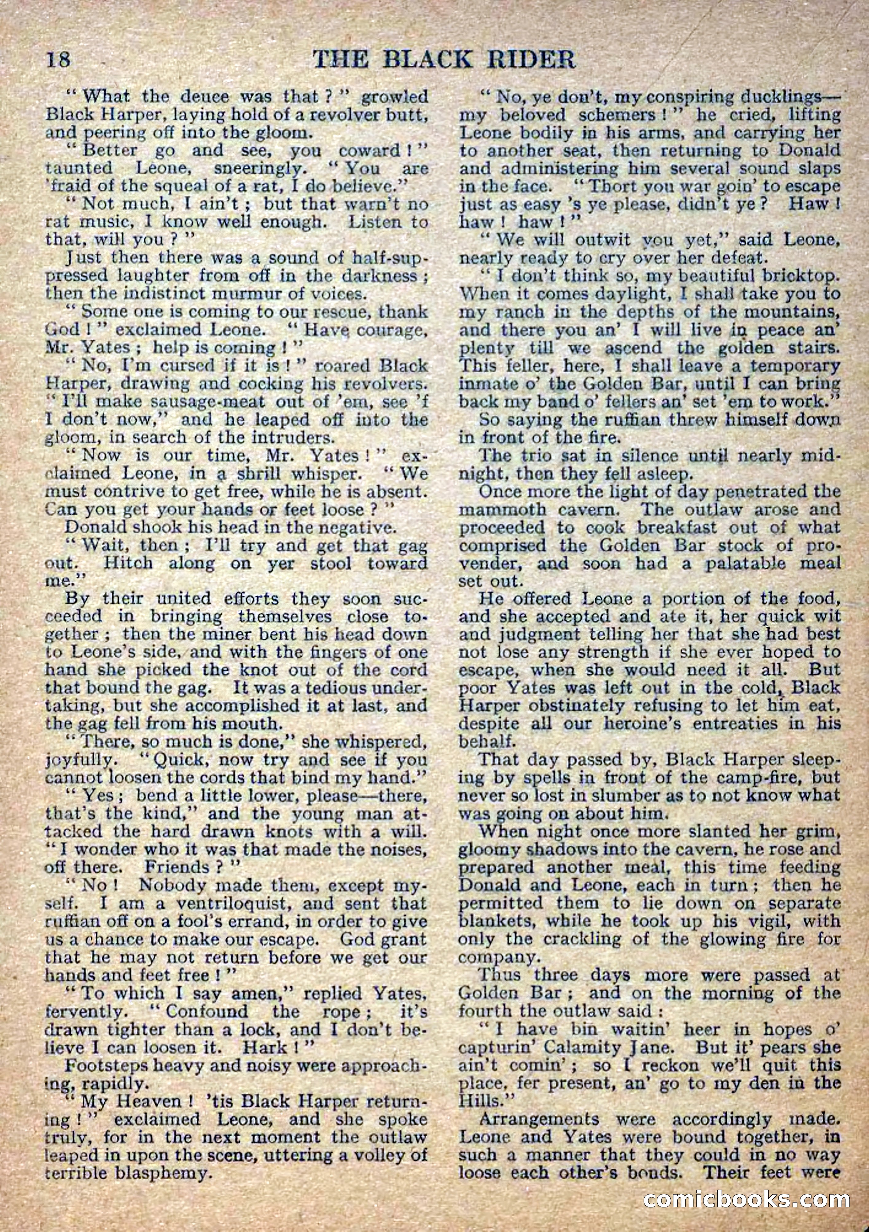 Deadwood Dick Library No. 2: The Black Rider — page 20 of 36