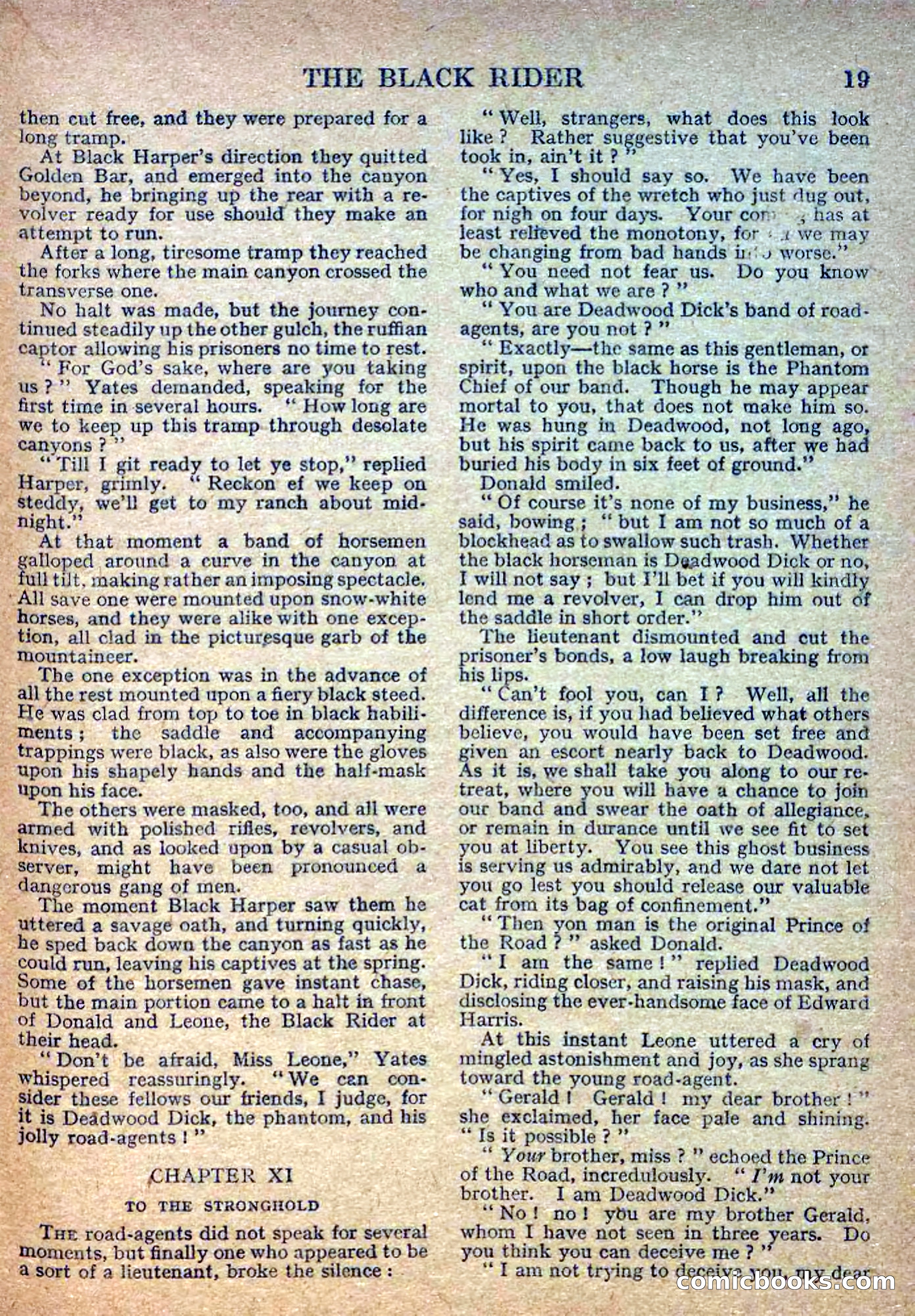 Deadwood Dick Library No. 2: The Black Rider — page 21 of 36