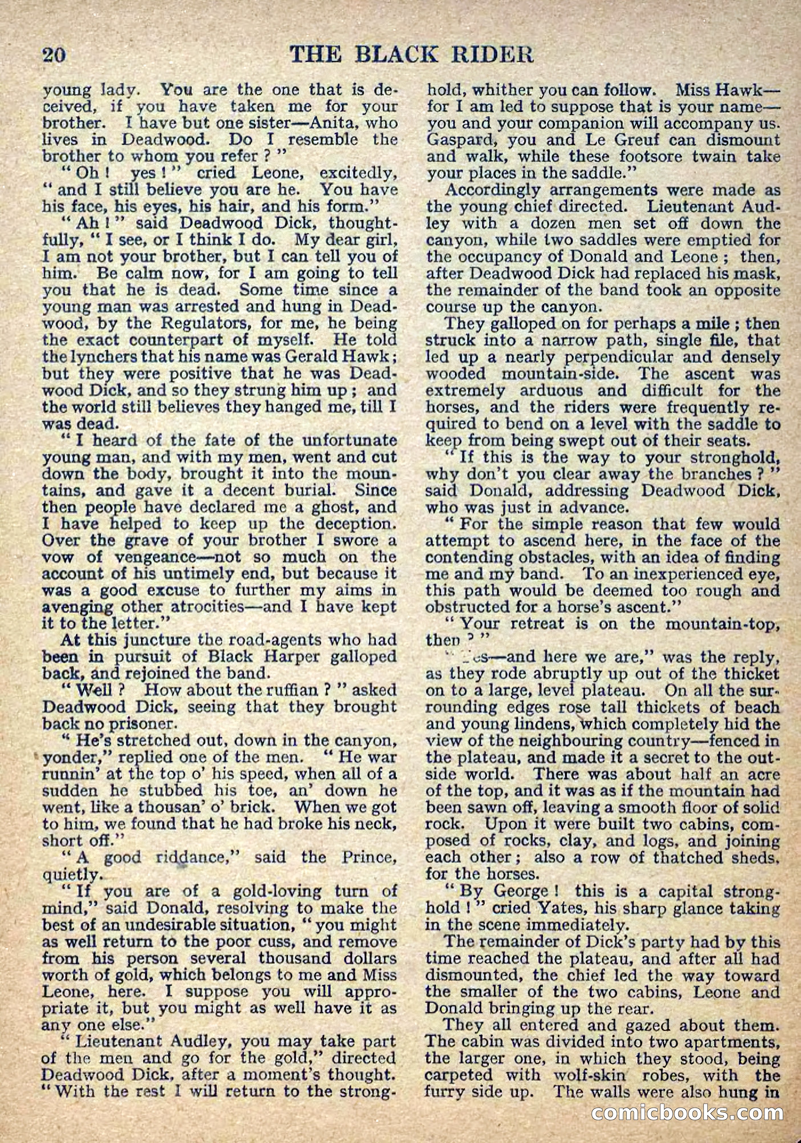 Deadwood Dick Library No. 2: The Black Rider — page 22 of 36