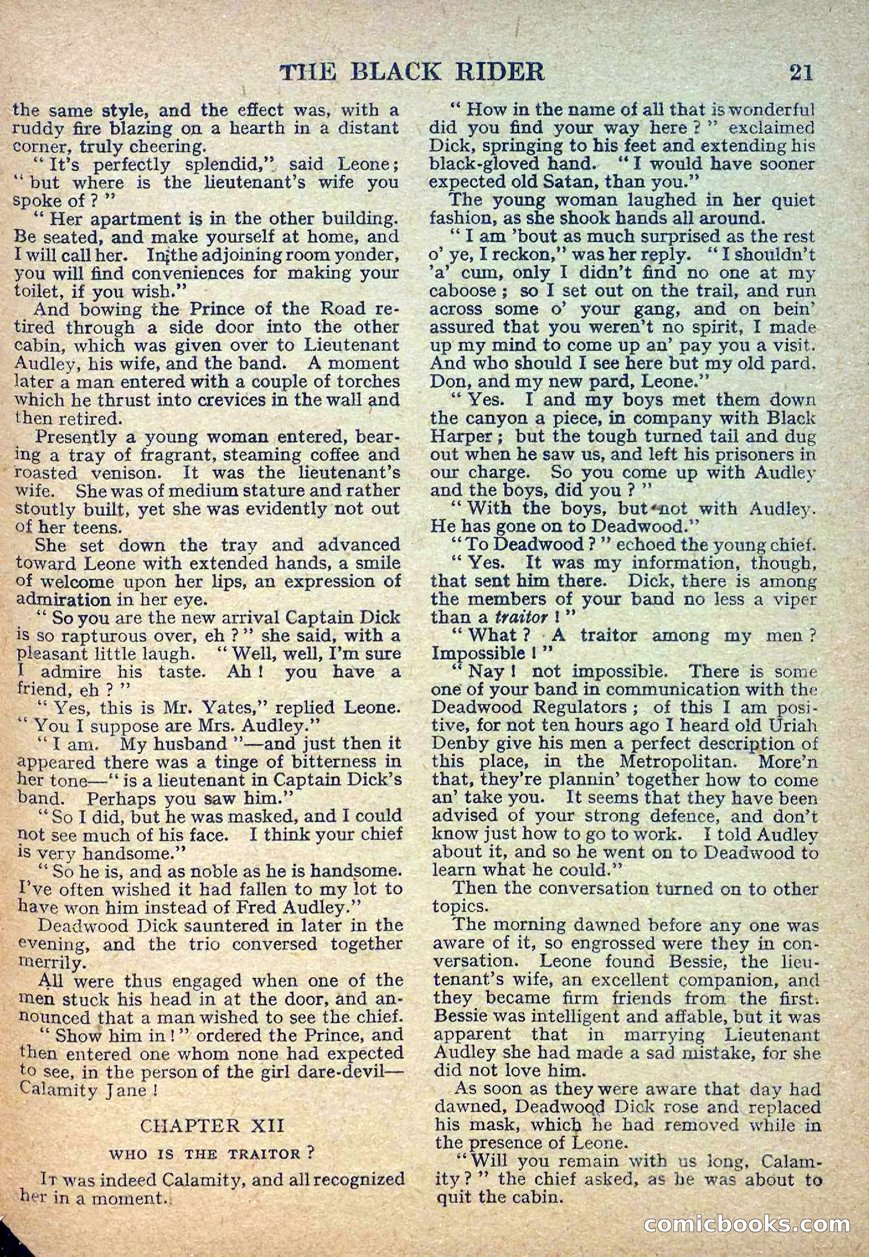 Deadwood Dick Library No. 2: The Black Rider — page 23 of 36