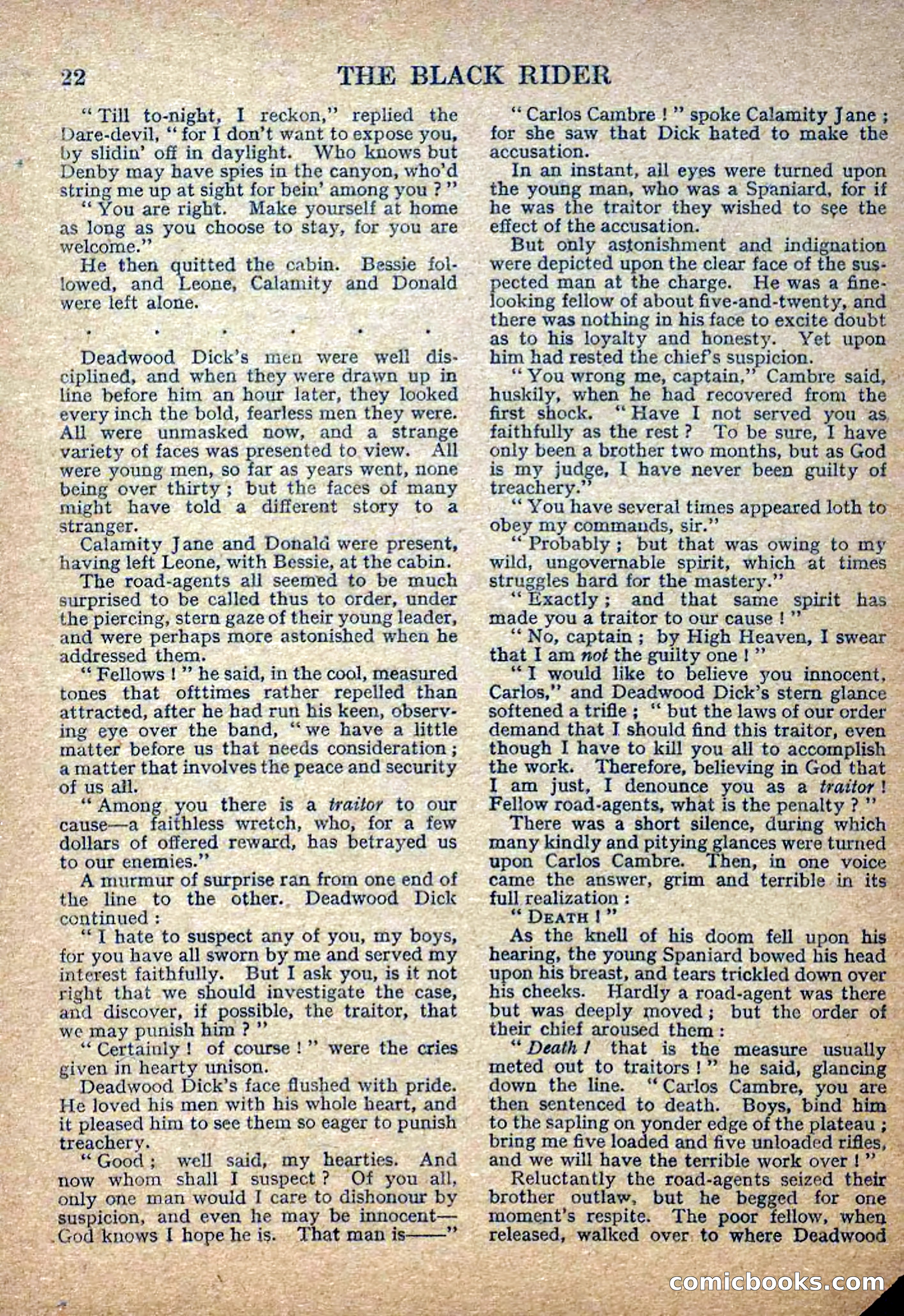 Deadwood Dick Library No. 2: The Black Rider — page 24 of 36