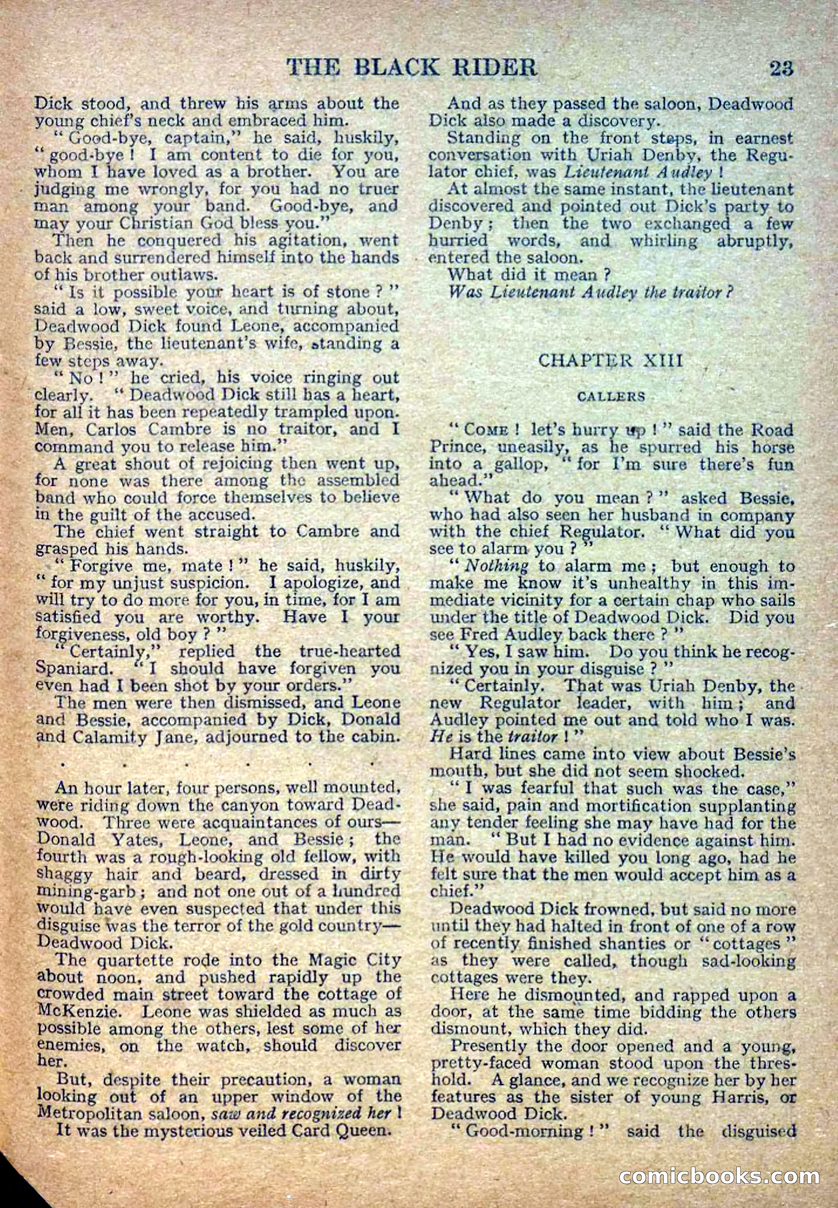 Deadwood Dick Library No. 2: The Black Rider — page 25 of 36