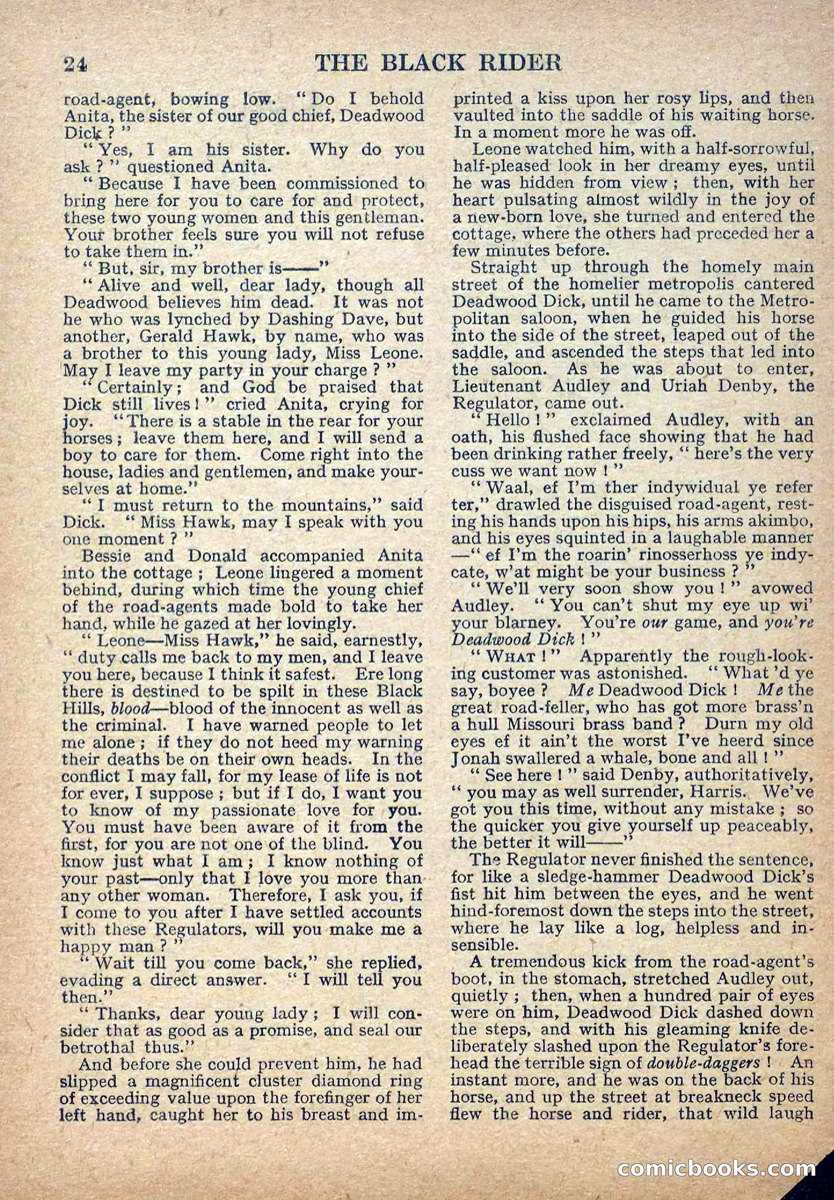 Deadwood Dick Library No. 2: The Black Rider — page 26 of 36