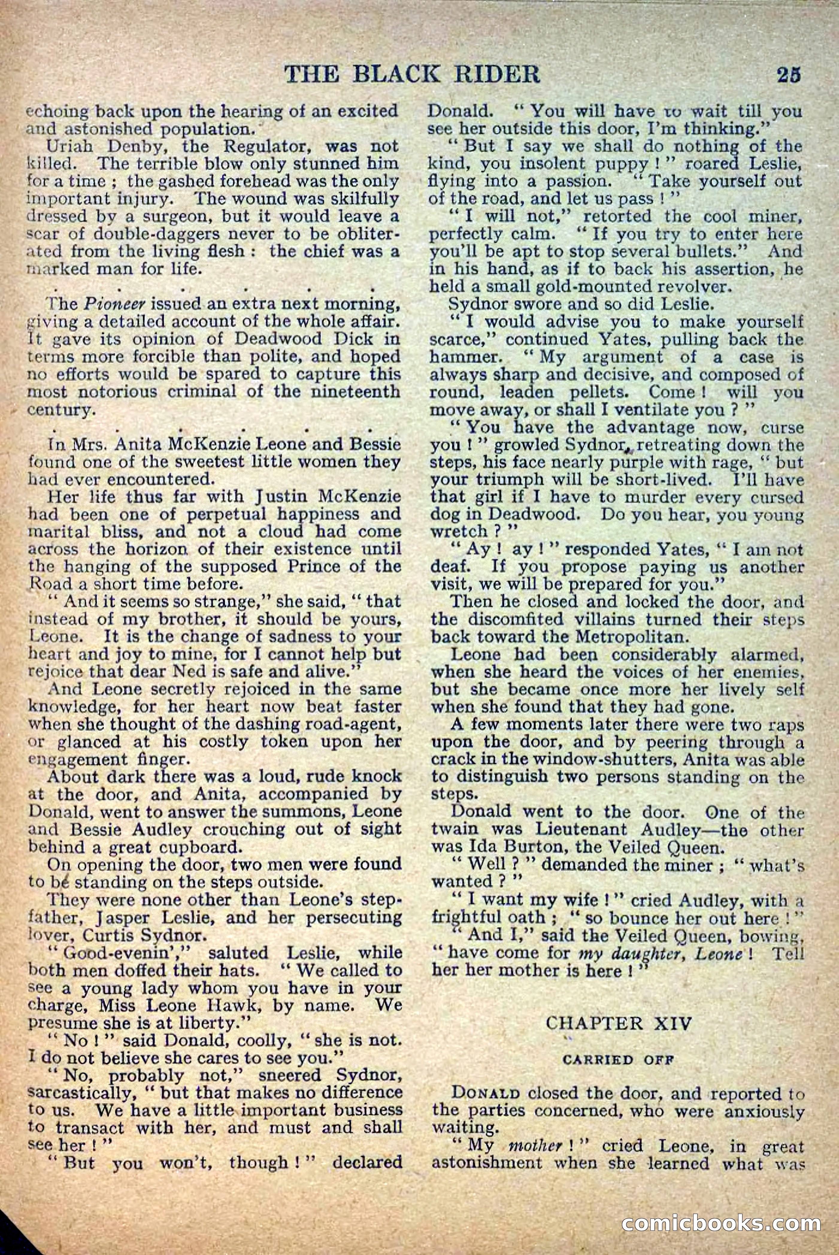 Deadwood Dick Library No. 2: The Black Rider — page 27 of 36