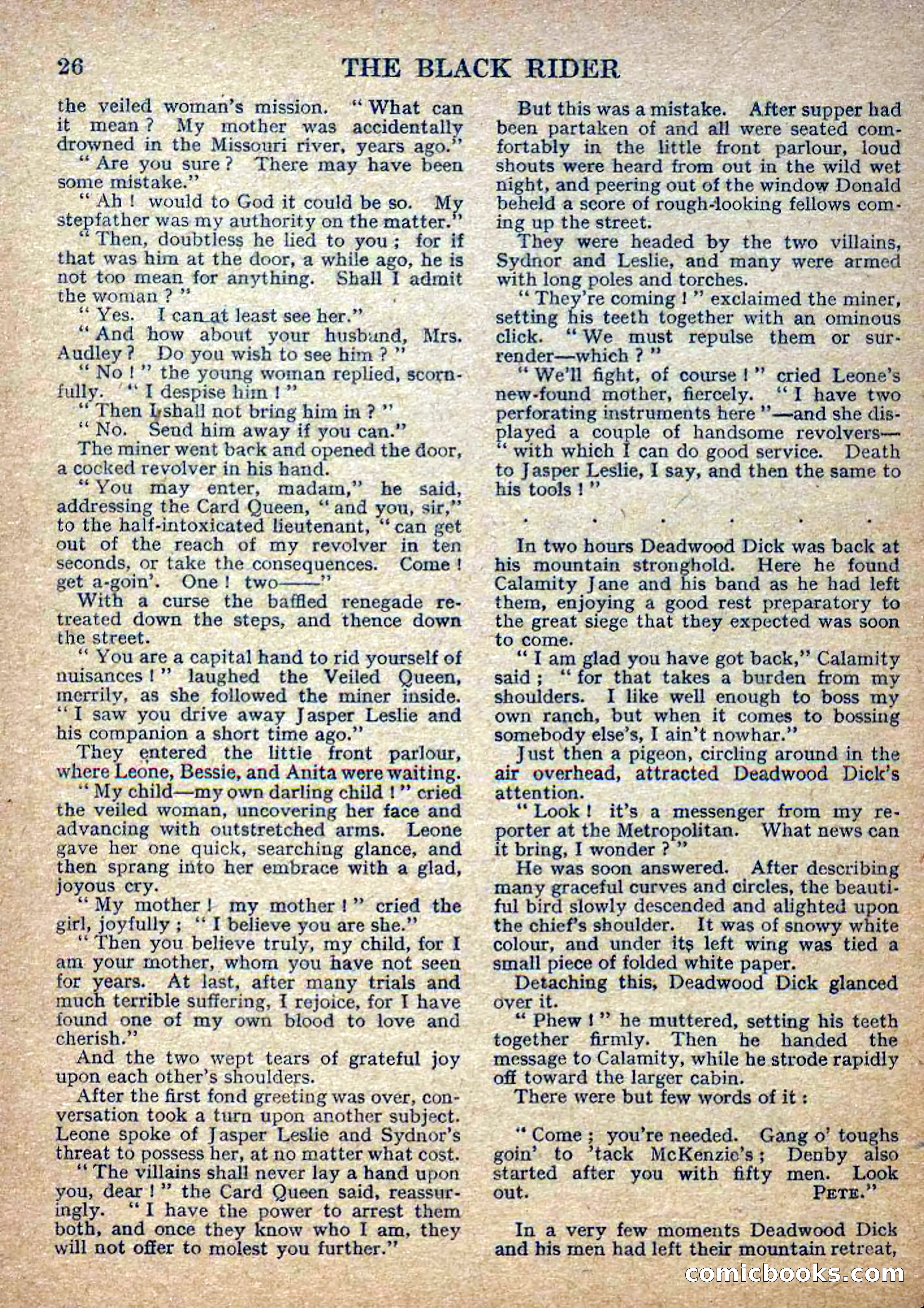 Deadwood Dick Library No. 2: The Black Rider — page 28 of 36