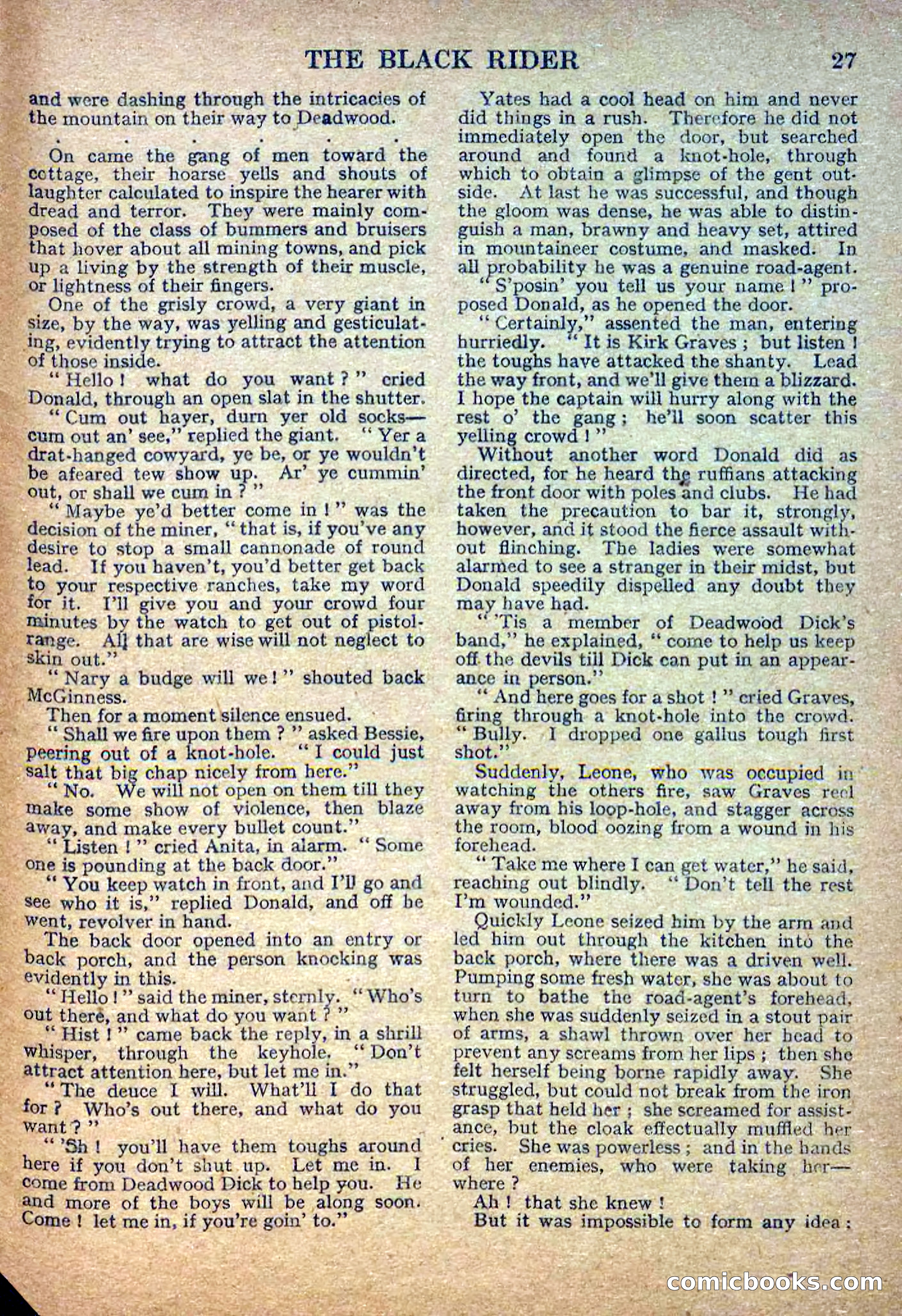 Deadwood Dick Library No. 2: The Black Rider — page 29 of 36
