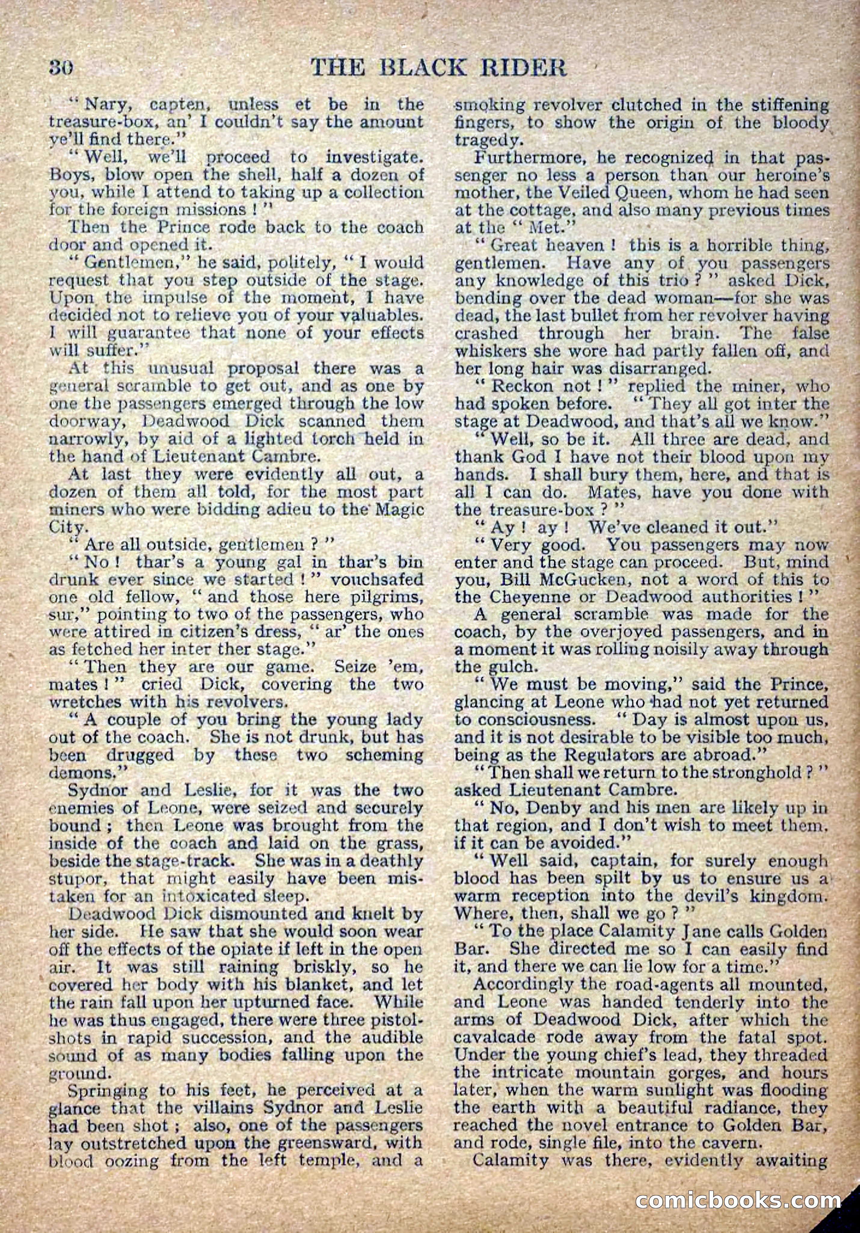 Deadwood Dick Library No. 2: The Black Rider — page 32 of 36