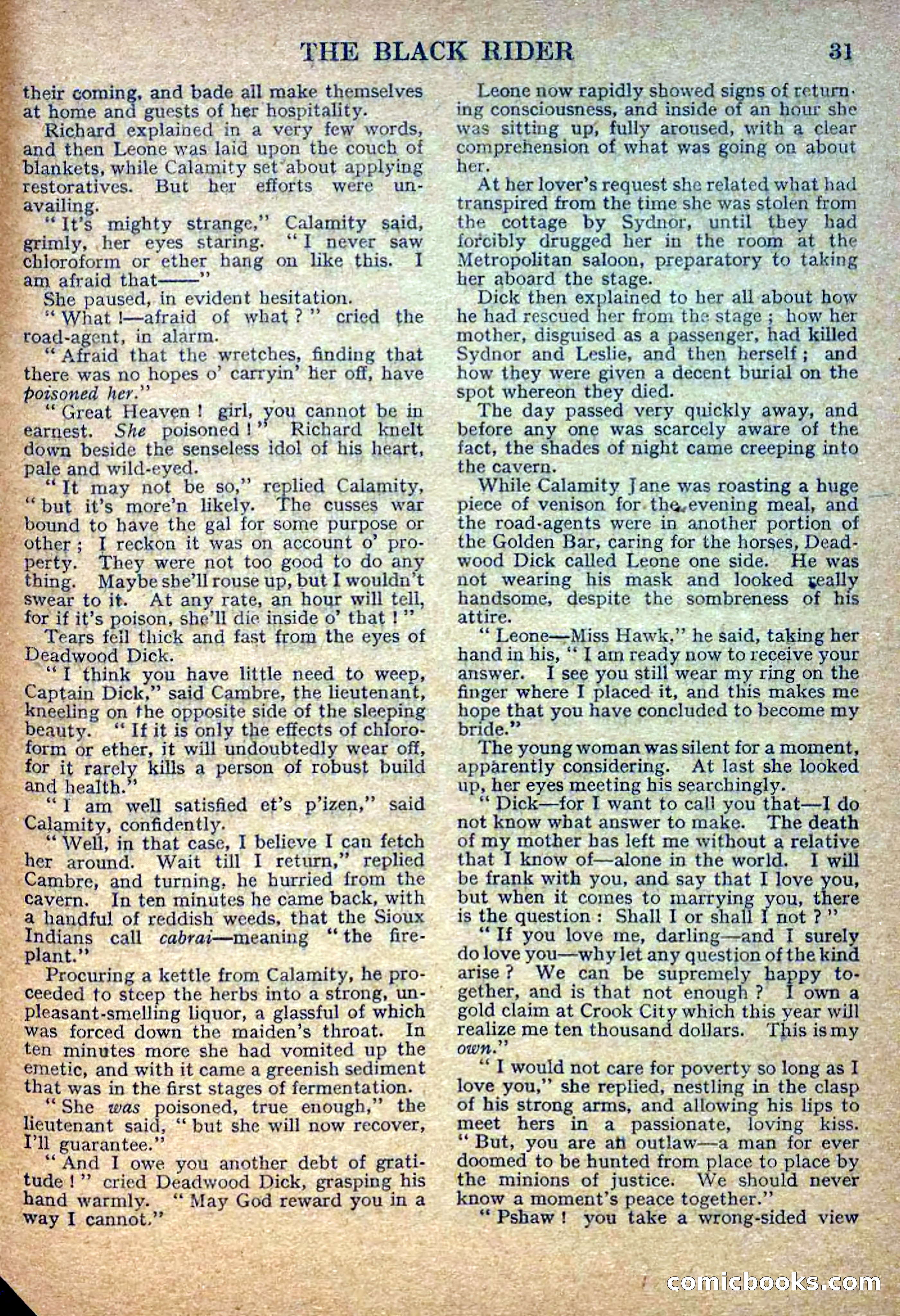 Deadwood Dick Library No. 2: The Black Rider — page 33 of 36