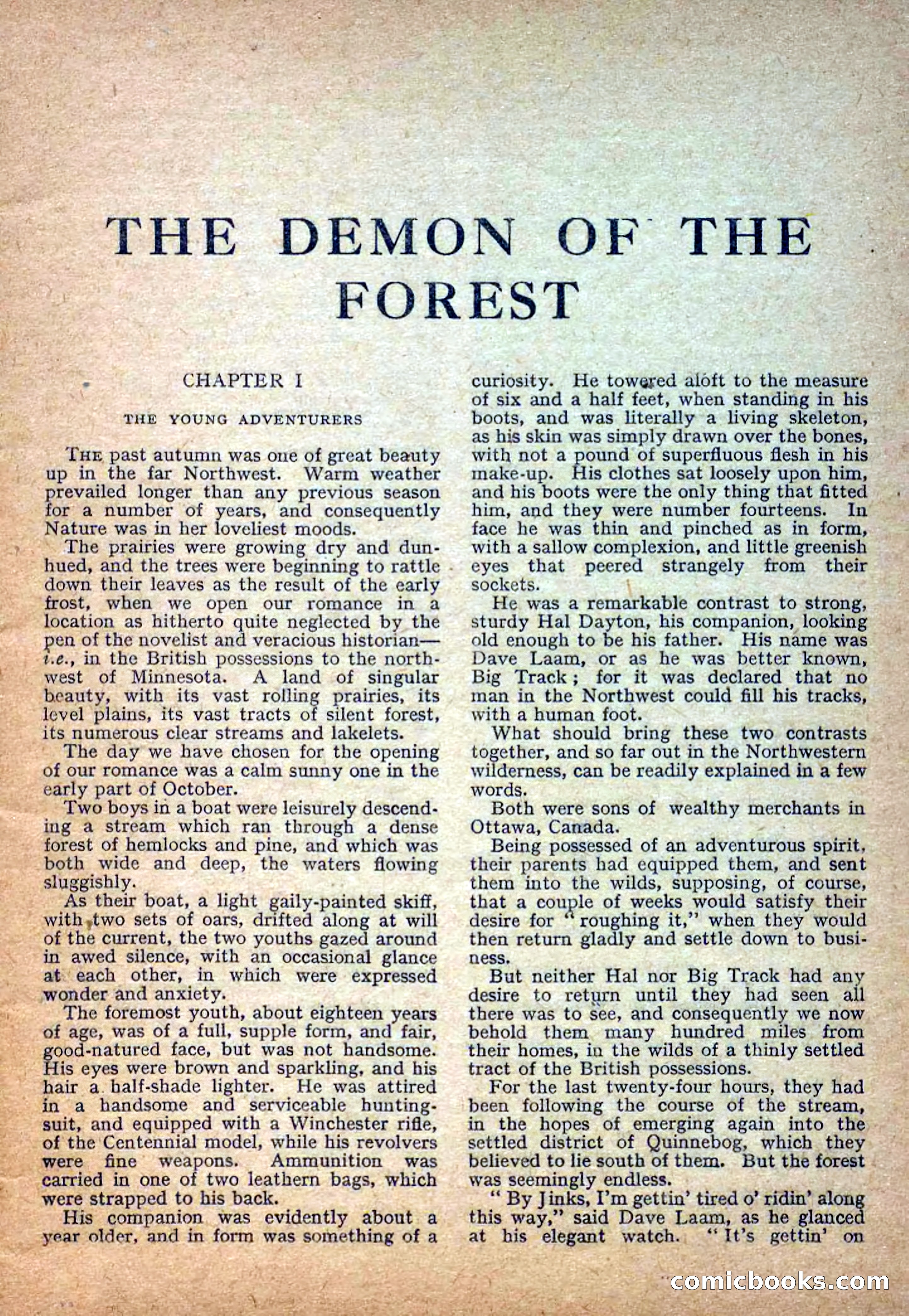 Deadwood Dick Library No. 22: The Demon of the Forest — page 3 of 36
