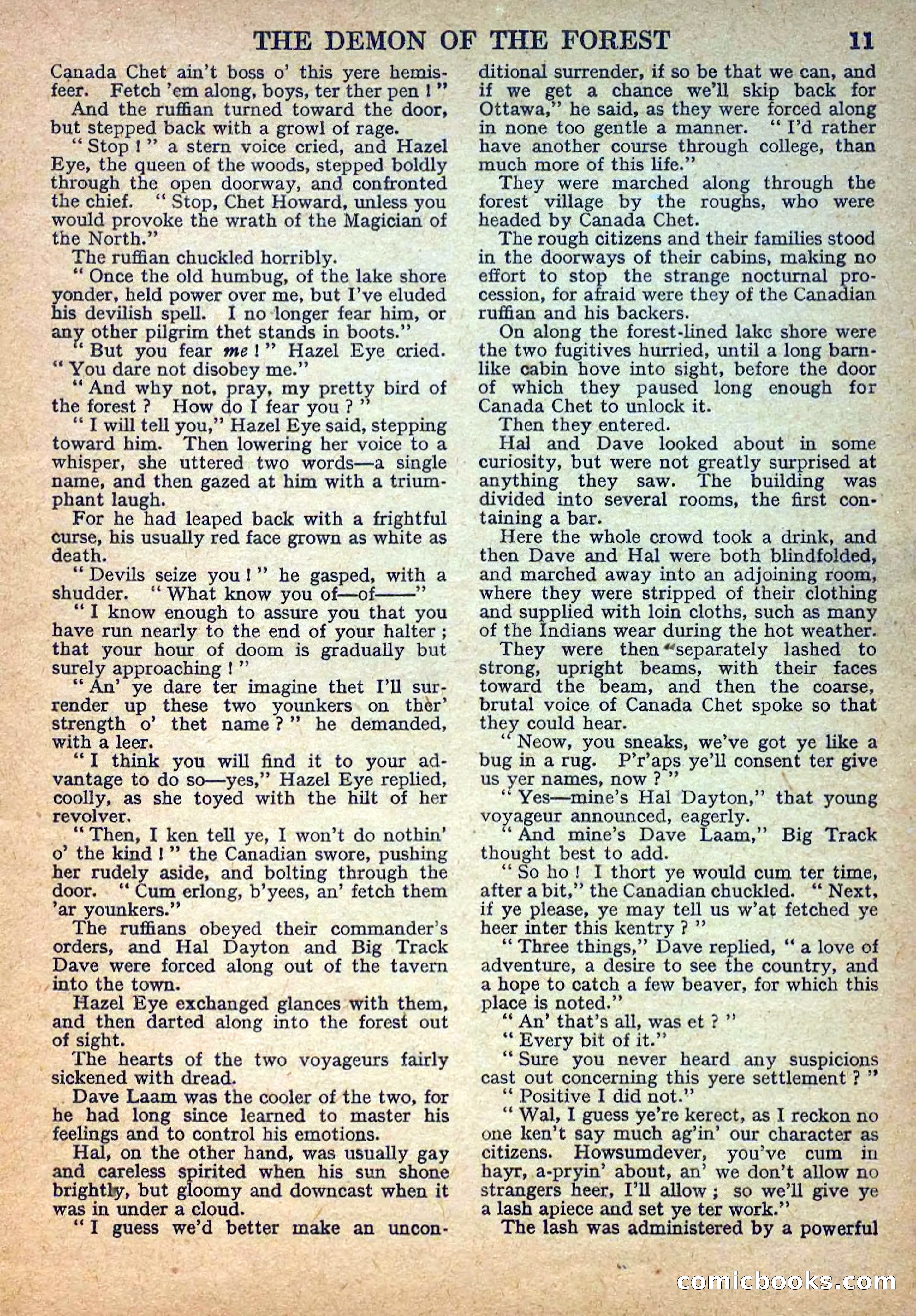 Deadwood Dick Library No. 22: The Demon of the Forest — page 13 of 36