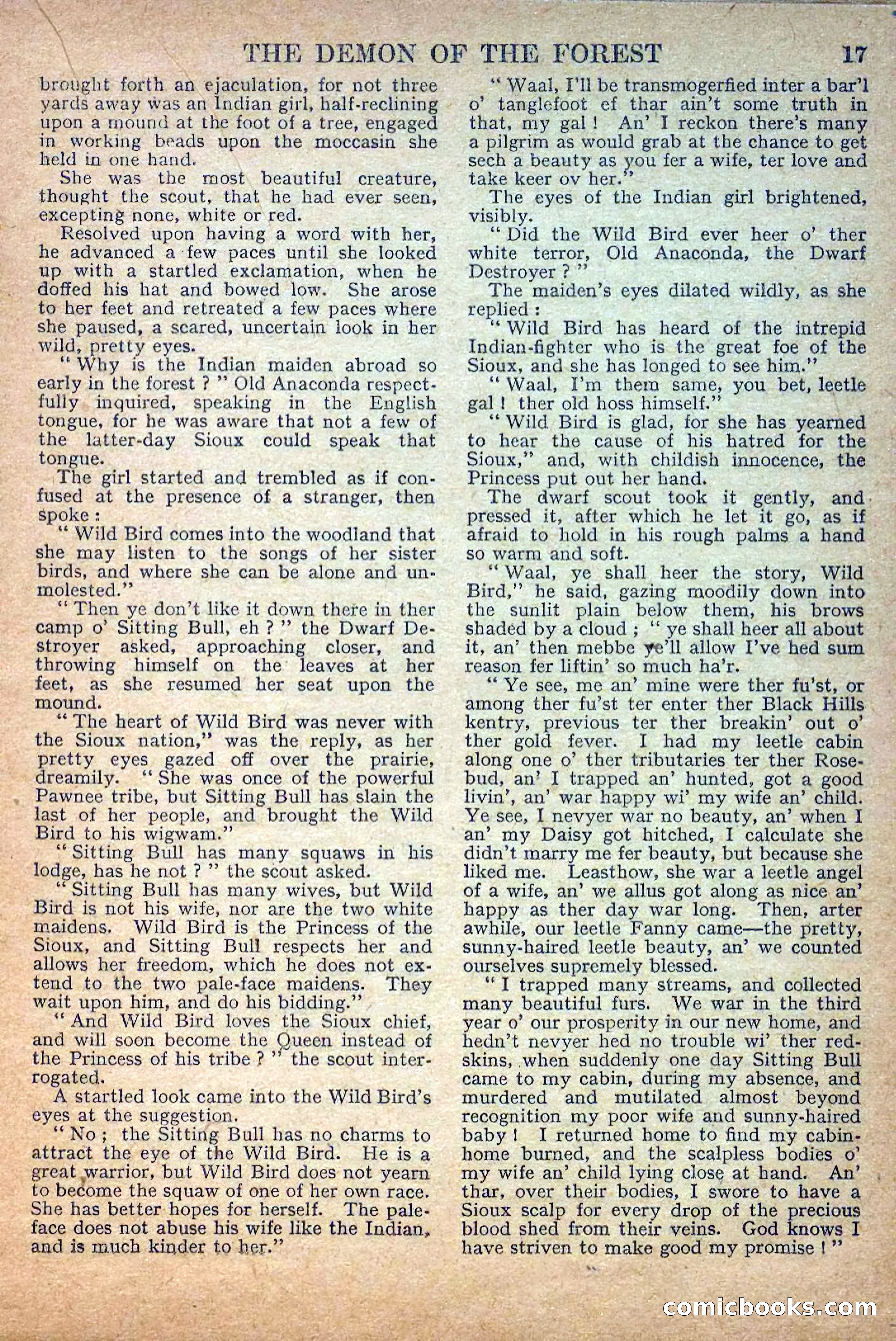 Deadwood Dick Library No. 22: The Demon of the Forest — page 19 of 36