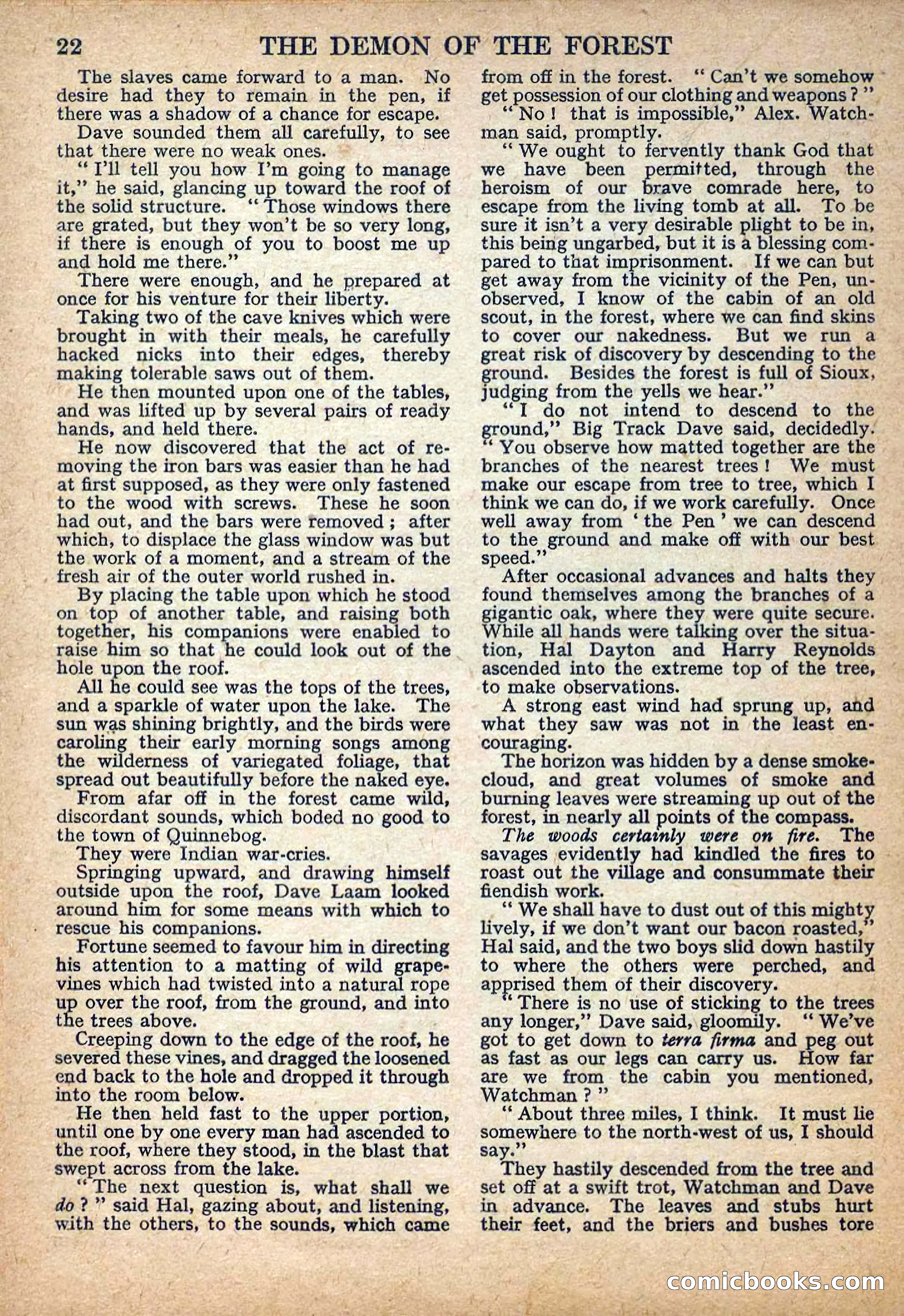 Deadwood Dick Library No. 22: The Demon of the Forest — page 24 of 36