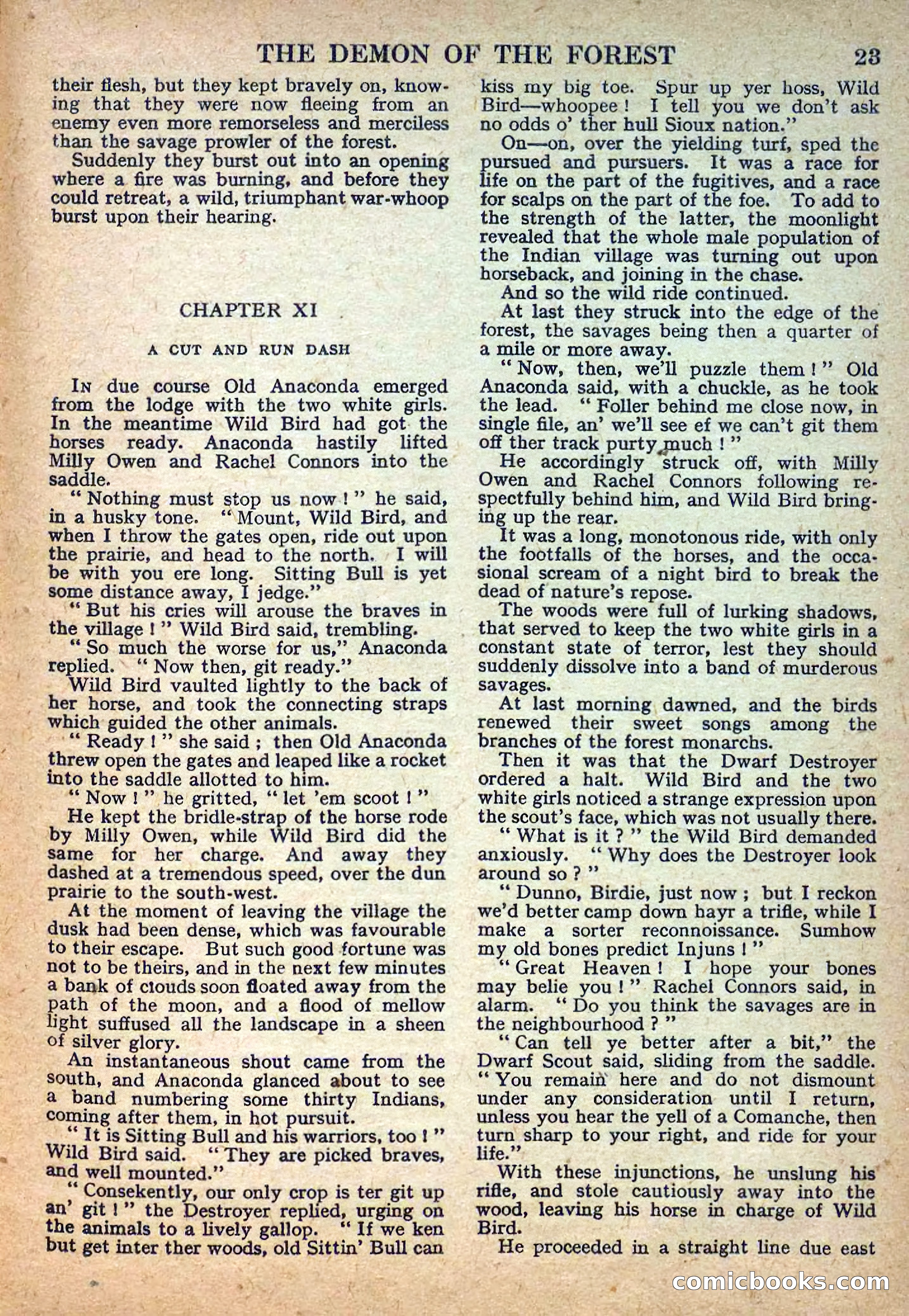 Deadwood Dick Library No. 22: The Demon of the Forest — page 25 of 36