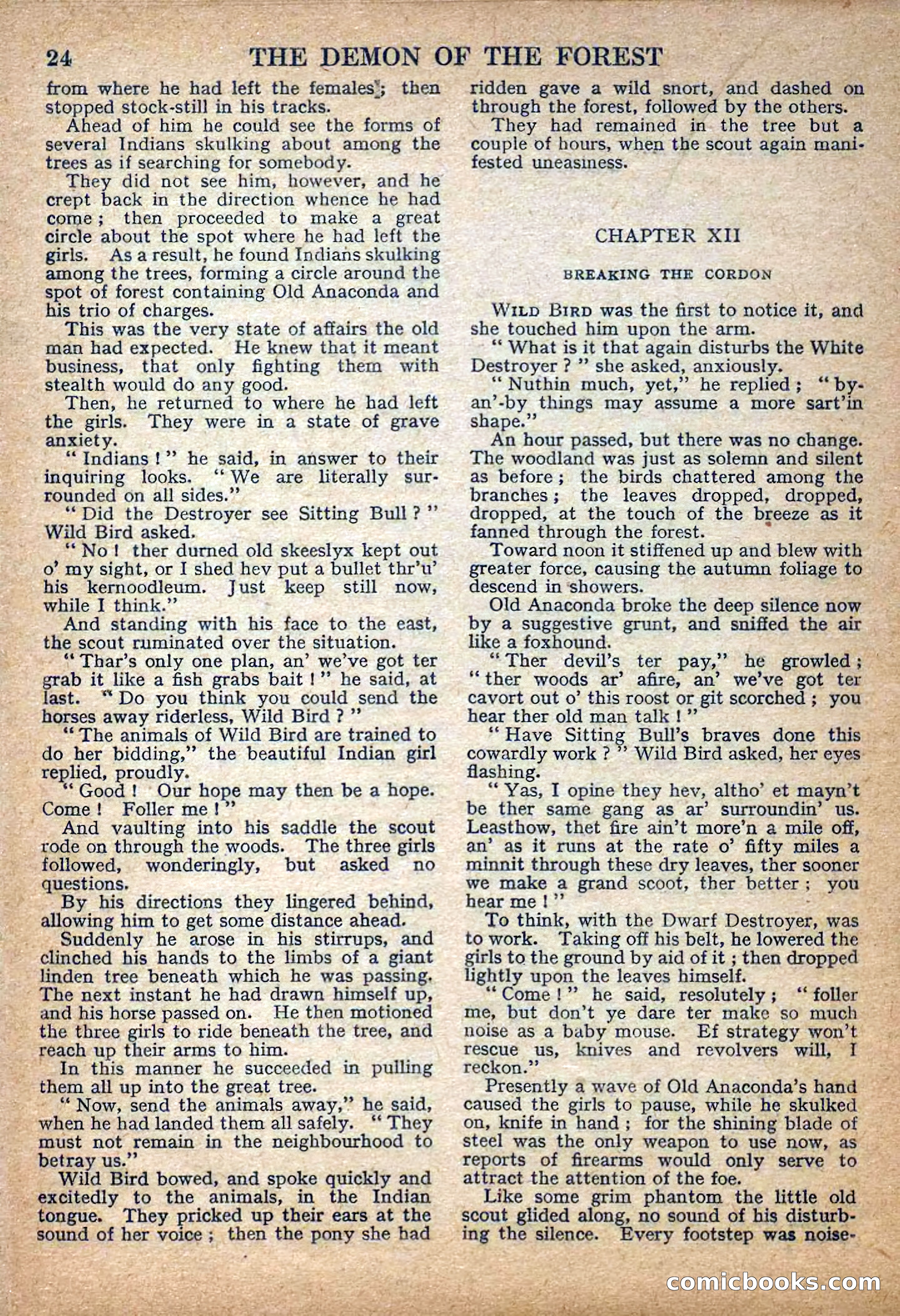 Deadwood Dick Library No. 22: The Demon of the Forest — page 26 of 36